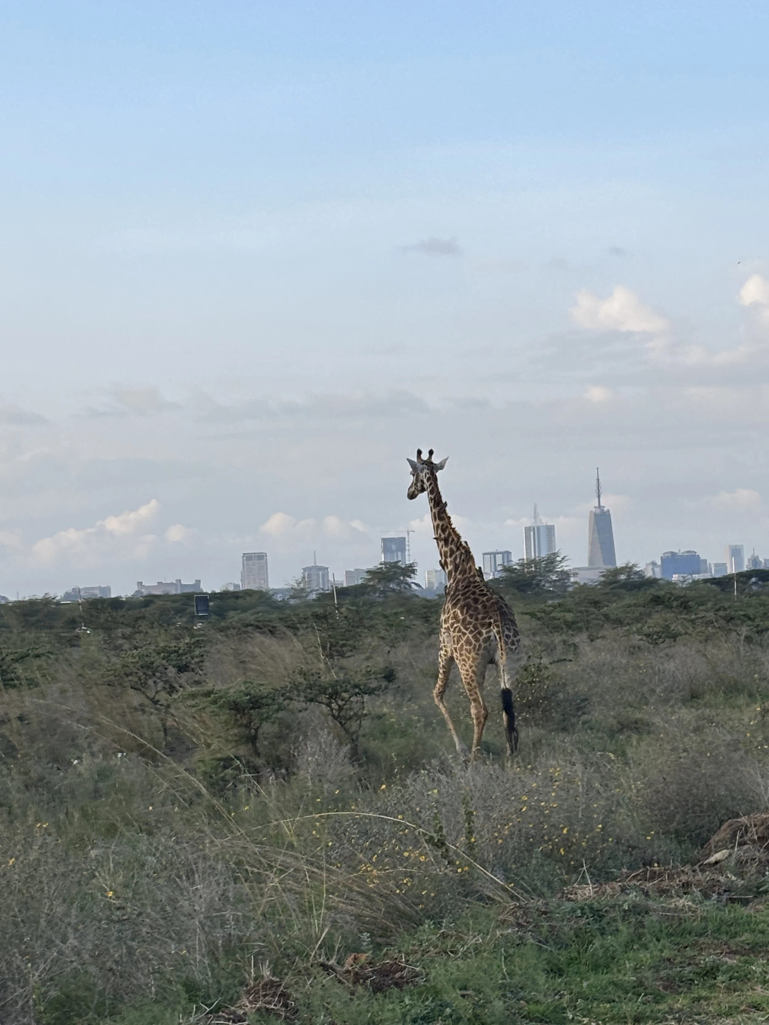 48 hours in Nairobi: what to do and what to see