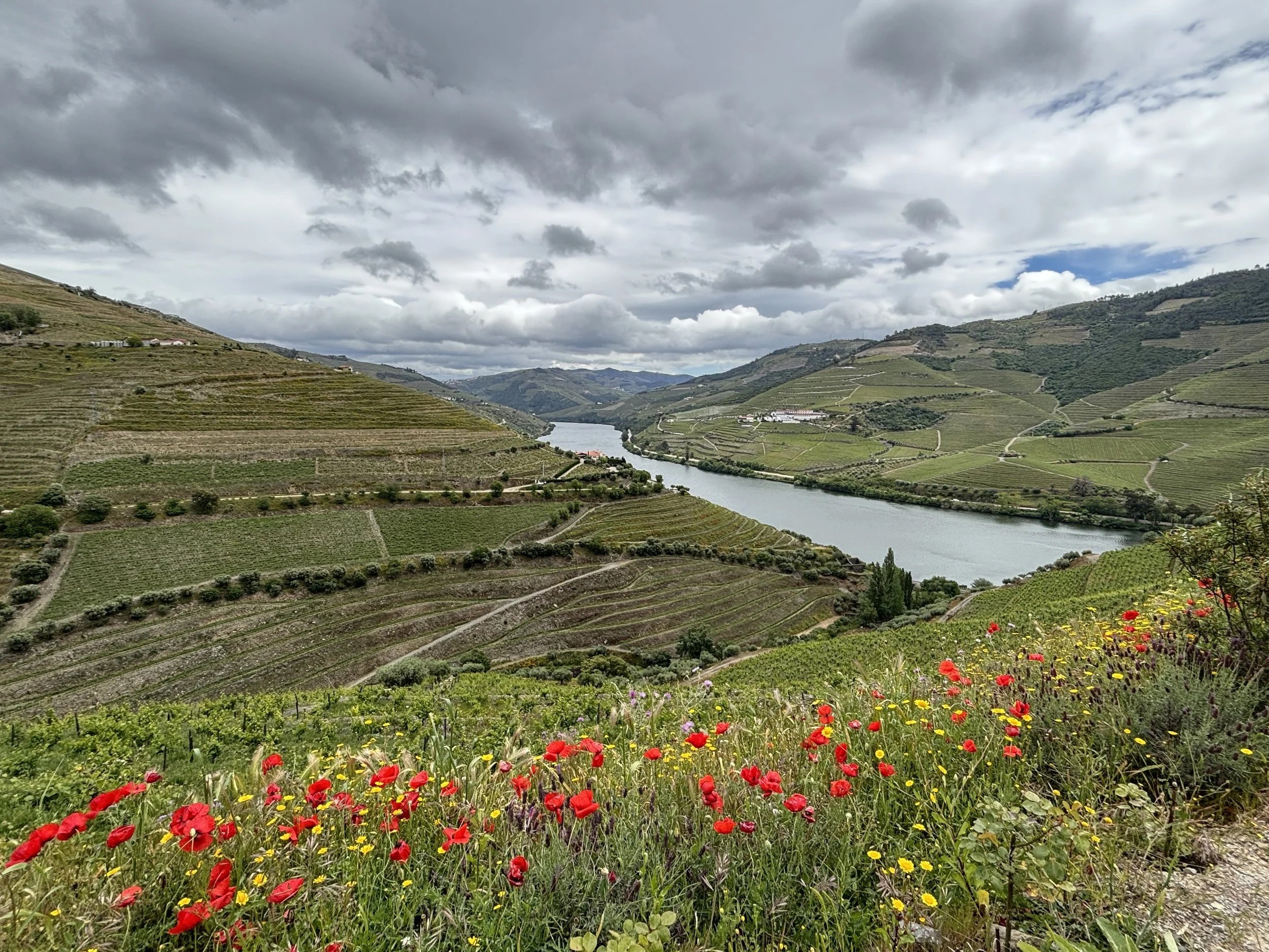A road trip through the Douro Valley: what to see &amp; to do