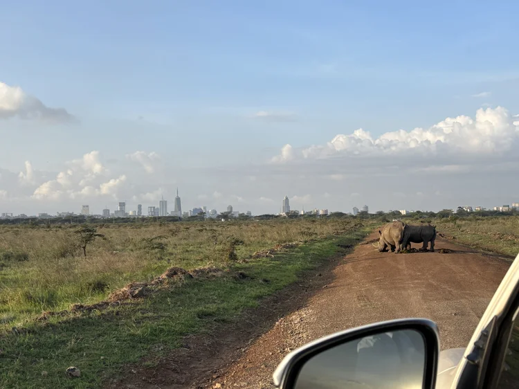 48 hours in Nairobi: what to do and what to see — Places of Charm