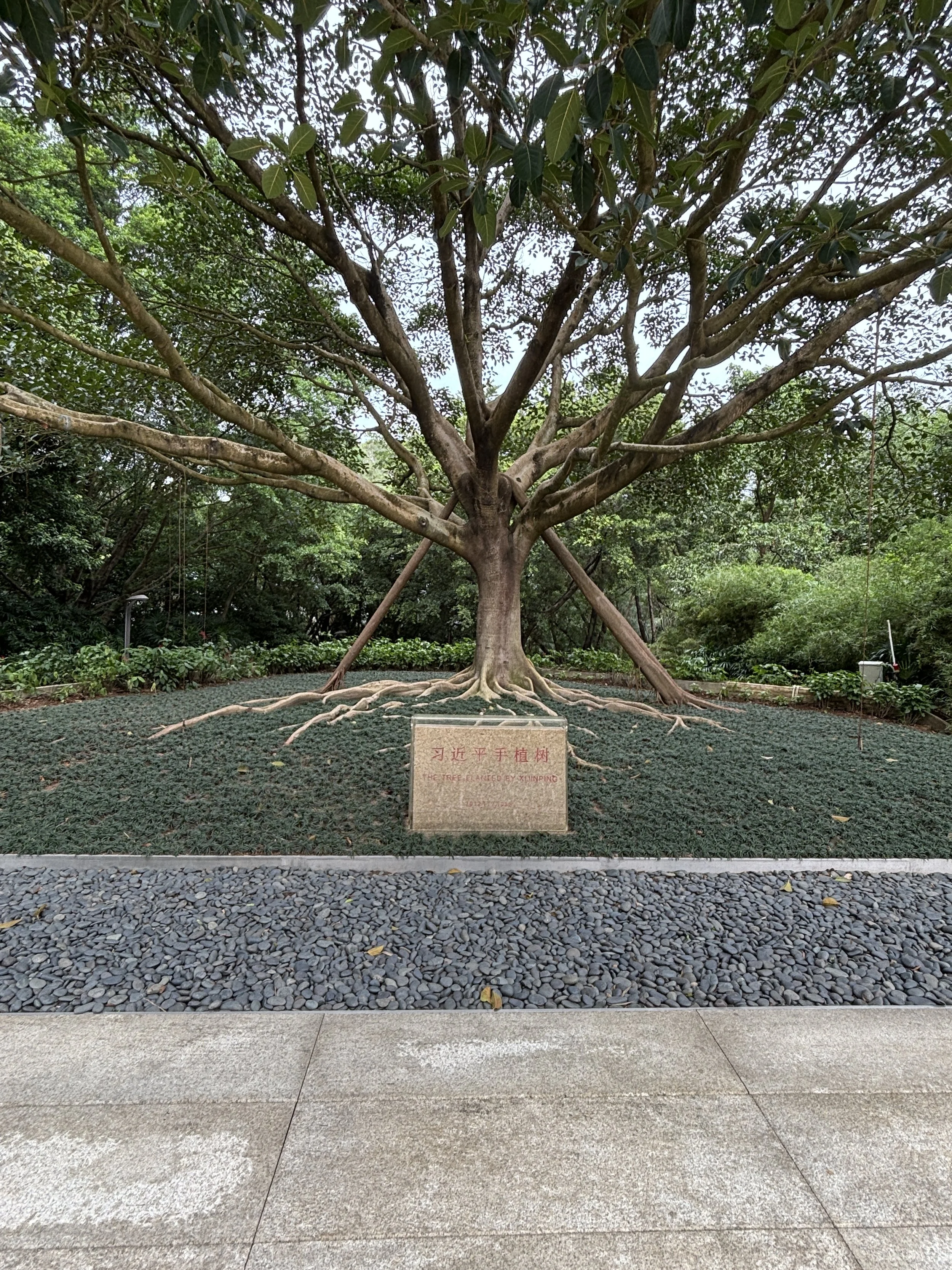 What to see and what to do in Shenzhen (day trip from Hong Kong ...