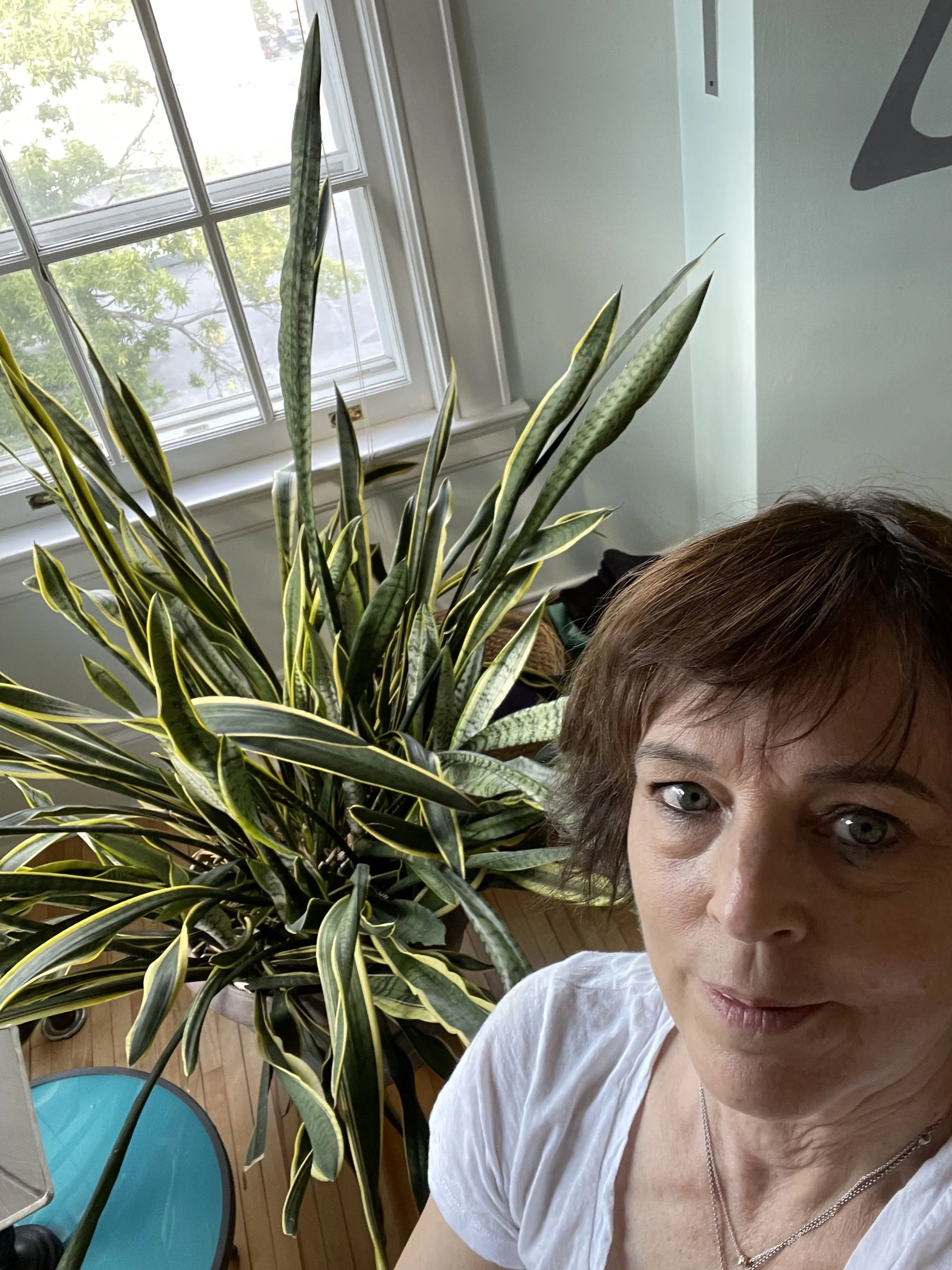 When Plants are Like Us