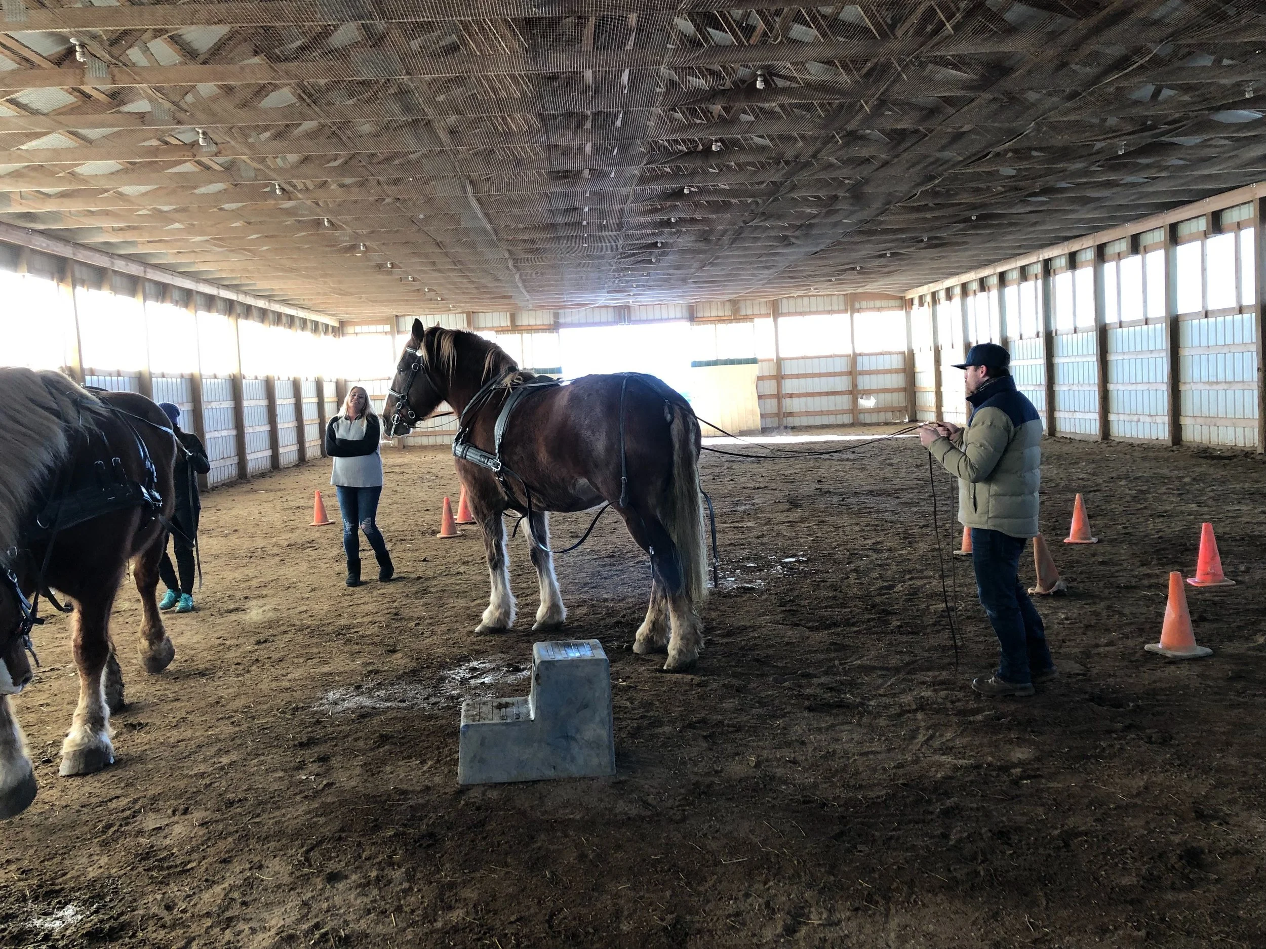 Image from iOS (3).jpg