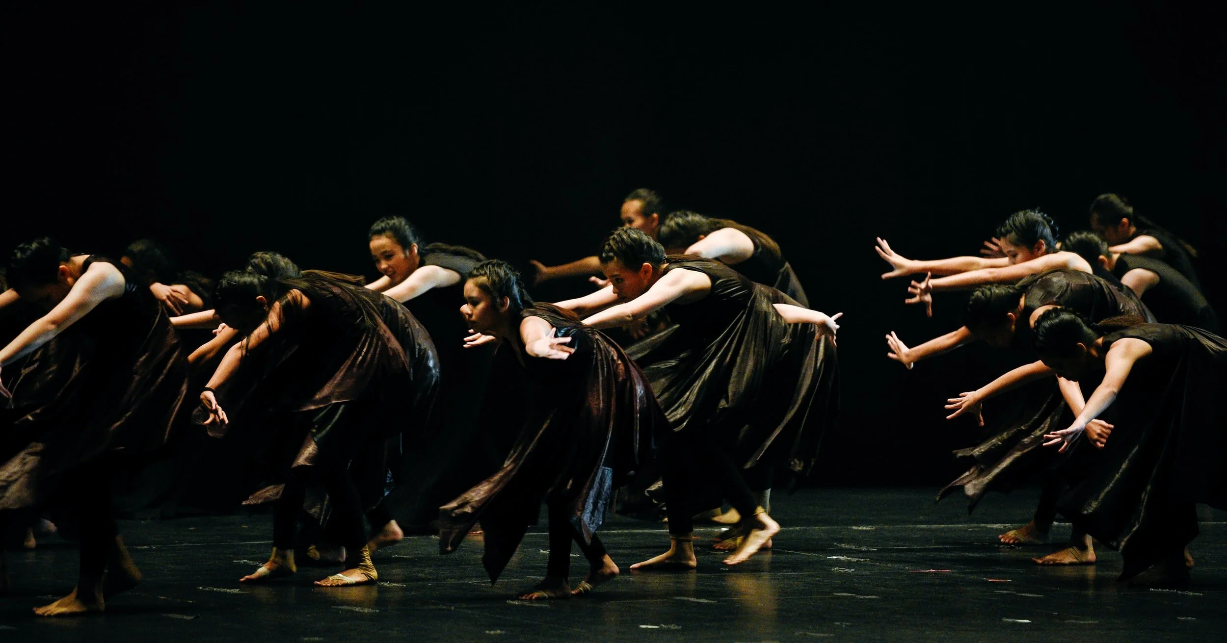 Join the dance interest group at a quarterly meeting!