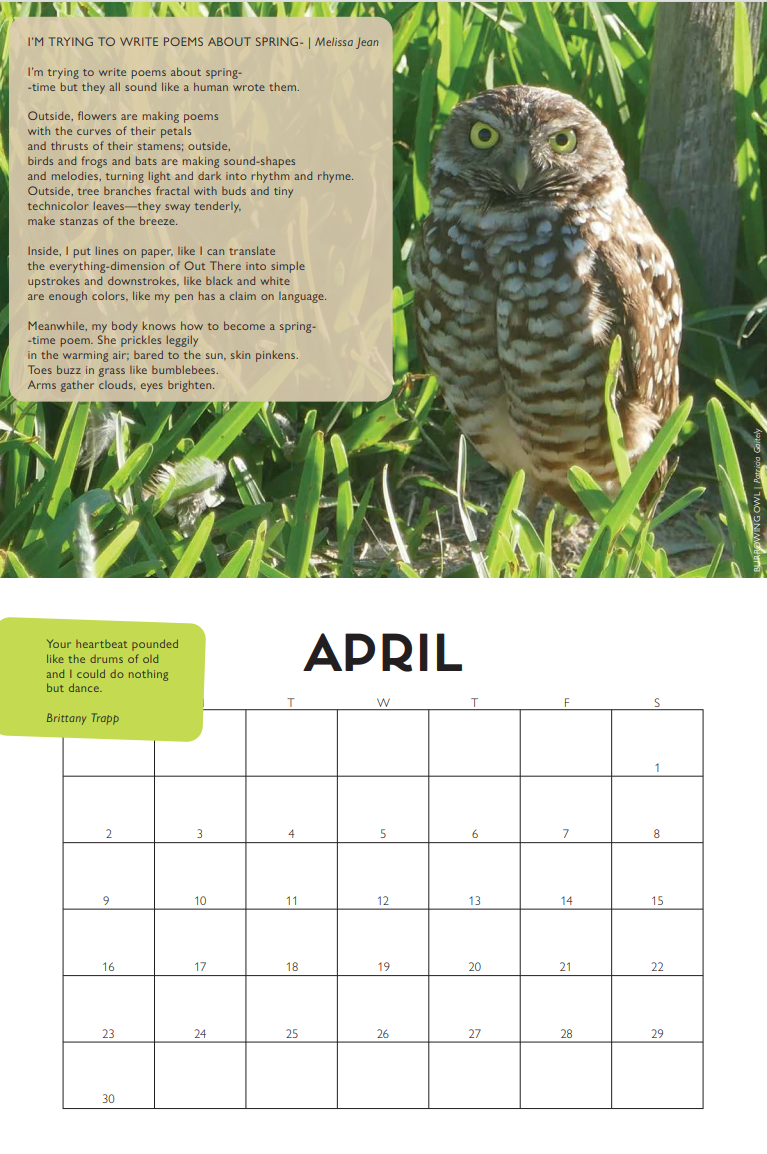  A preview of the 2023 local arts calendar.  