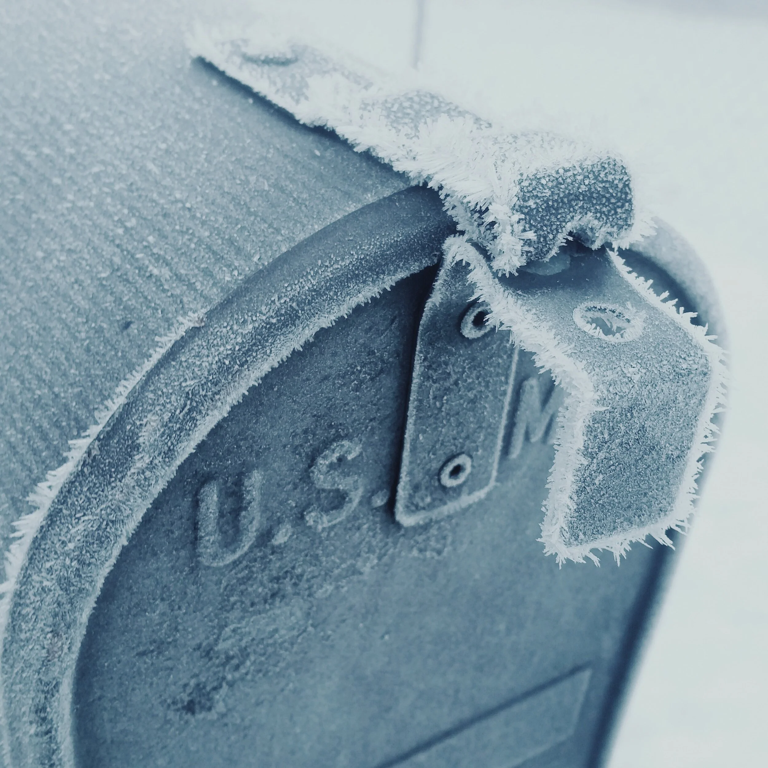 RAA Happenings, January Edition