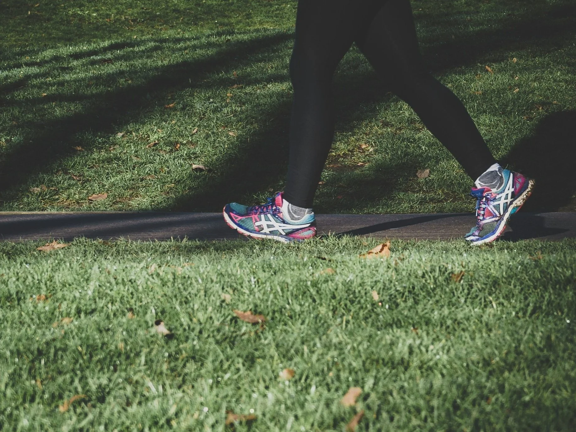 Join Our Team or Give to Support the 2025 Walk to End Alzheimer's
