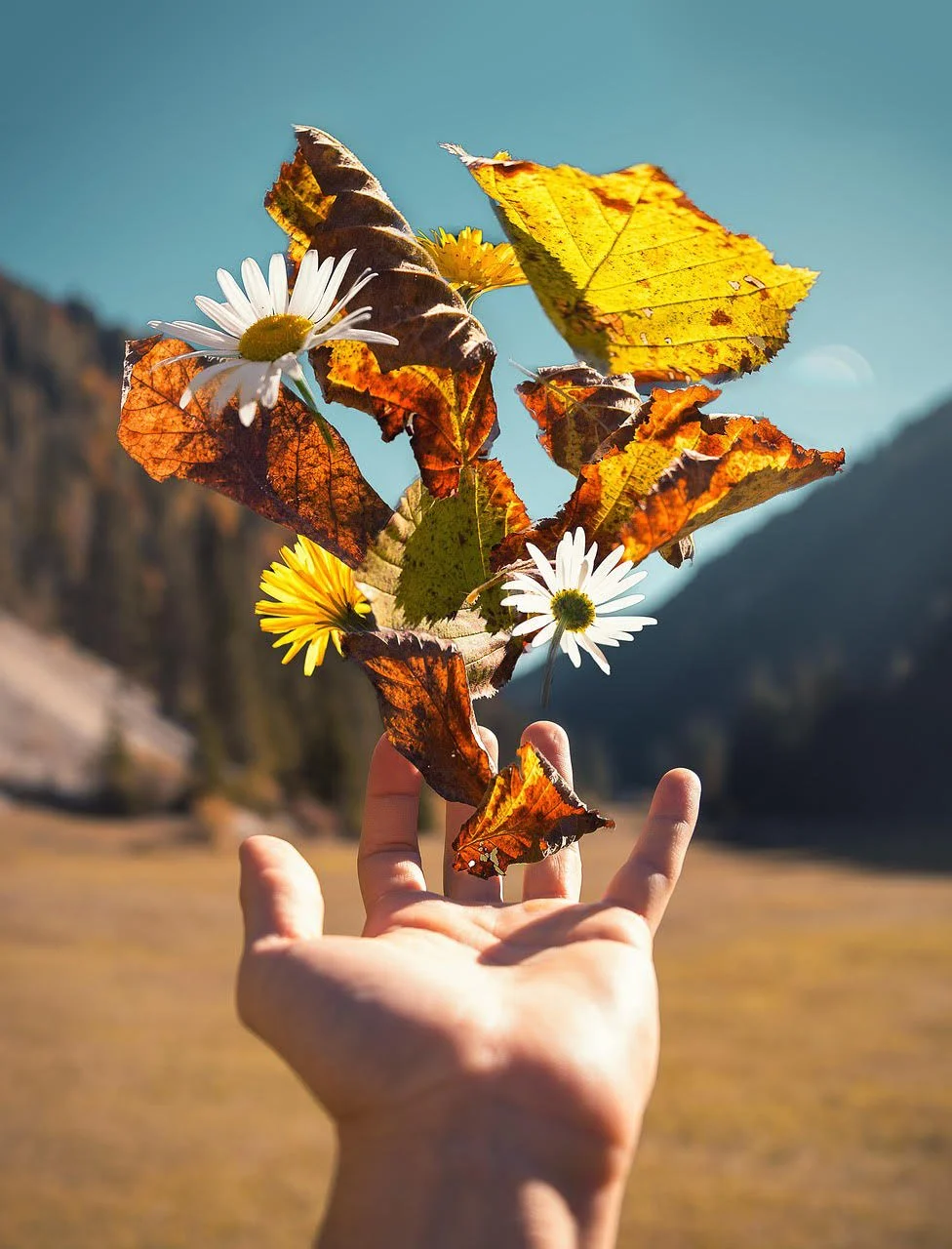 RAA Happenings, September Edition