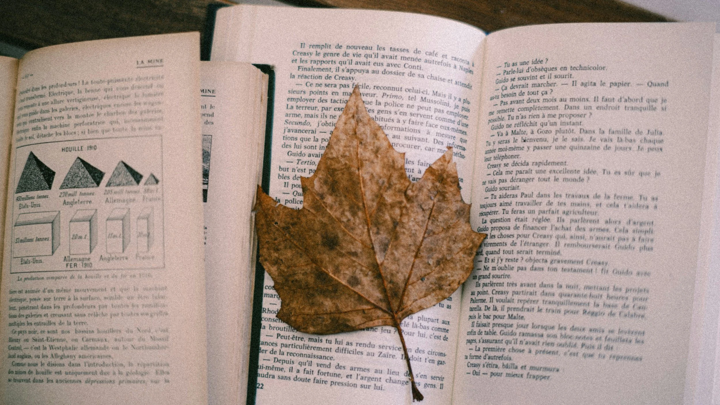MTSU Write Conference, Author Signings, New Bookstores, and More!