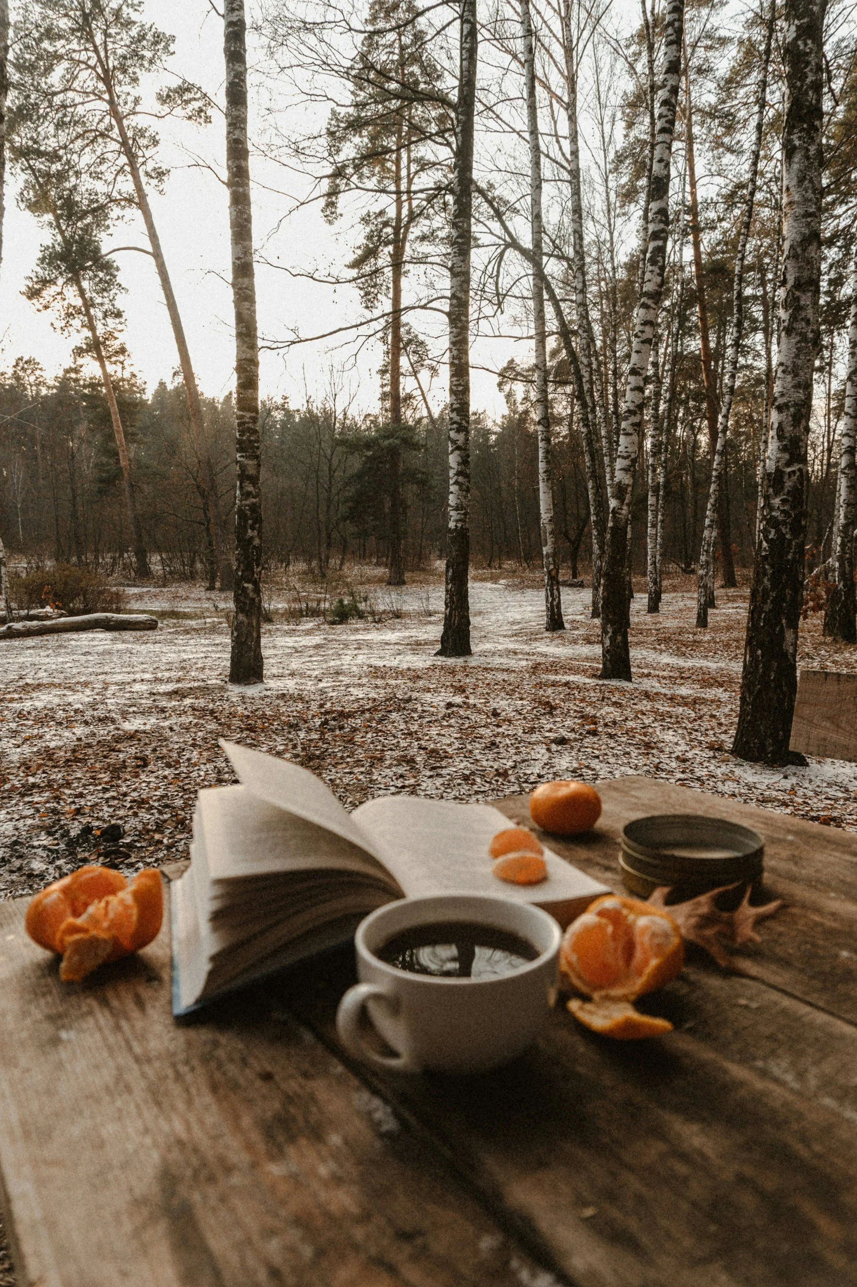 December Literary News and Events, Celebrations, and Gift Ideas for Bookish People