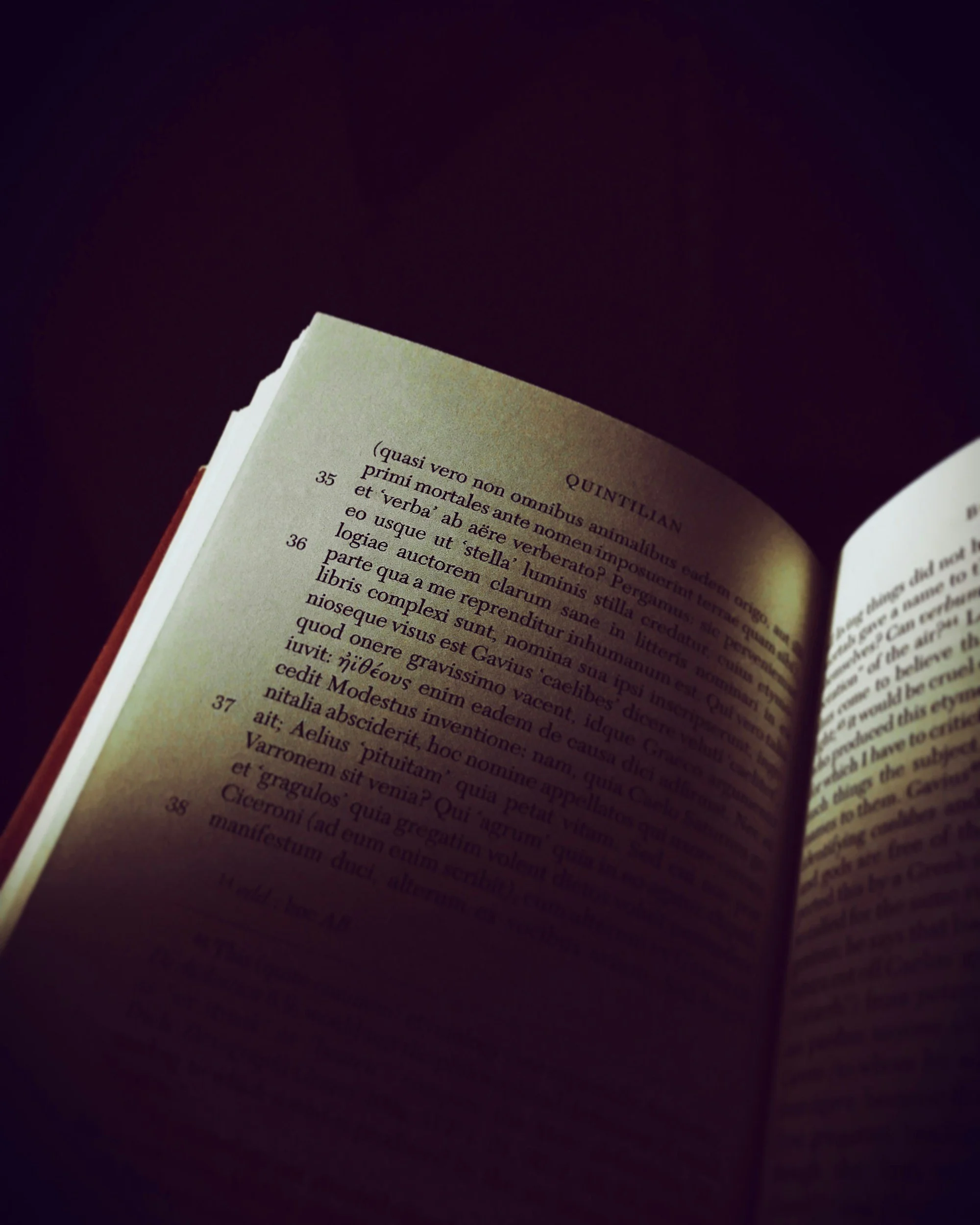 January Literary Events and a Few Thoughts on Creative Resolutions