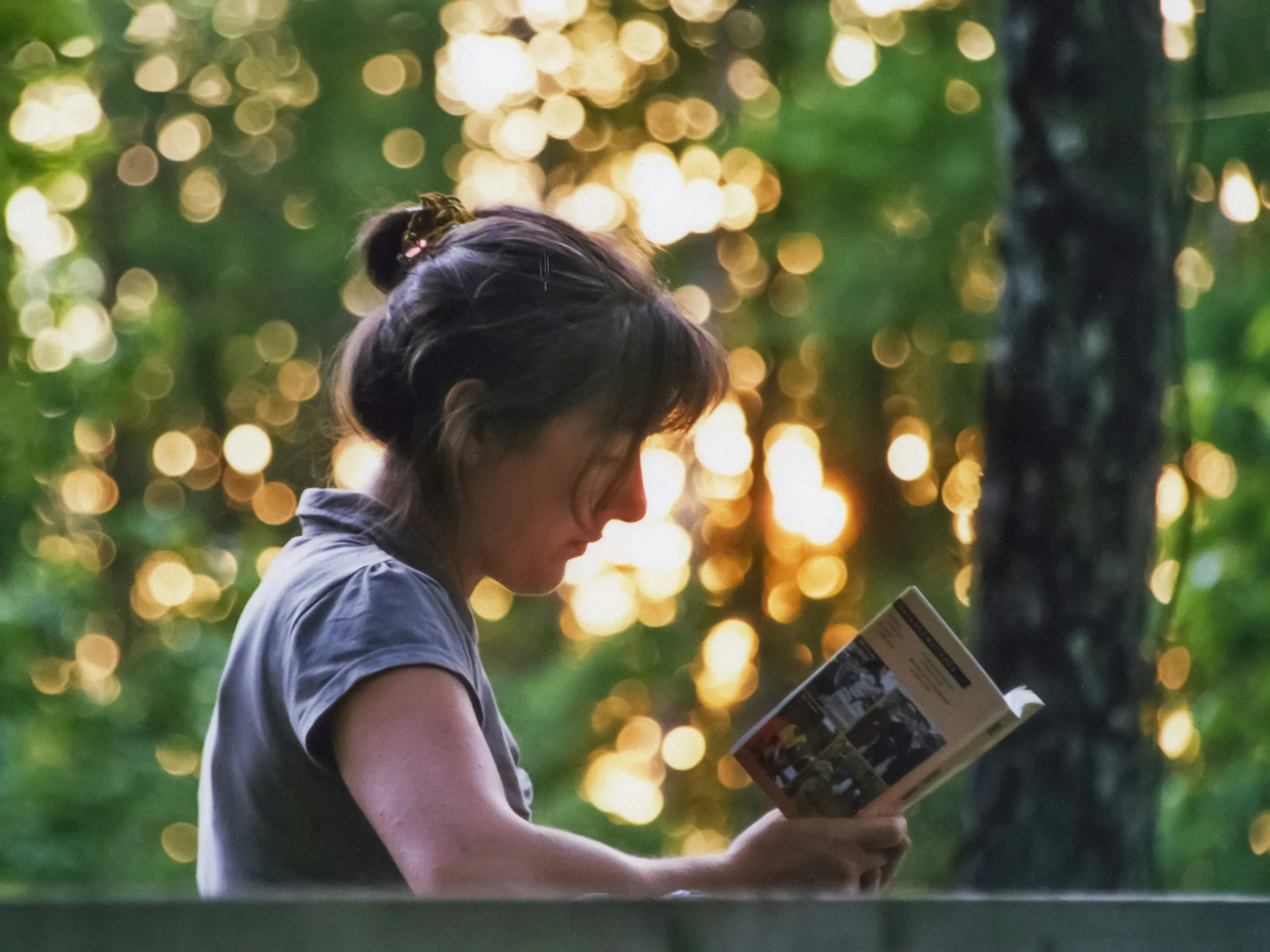 This May: Free Comic Book Day, Author Signings, a New Local Bookstore, and More!