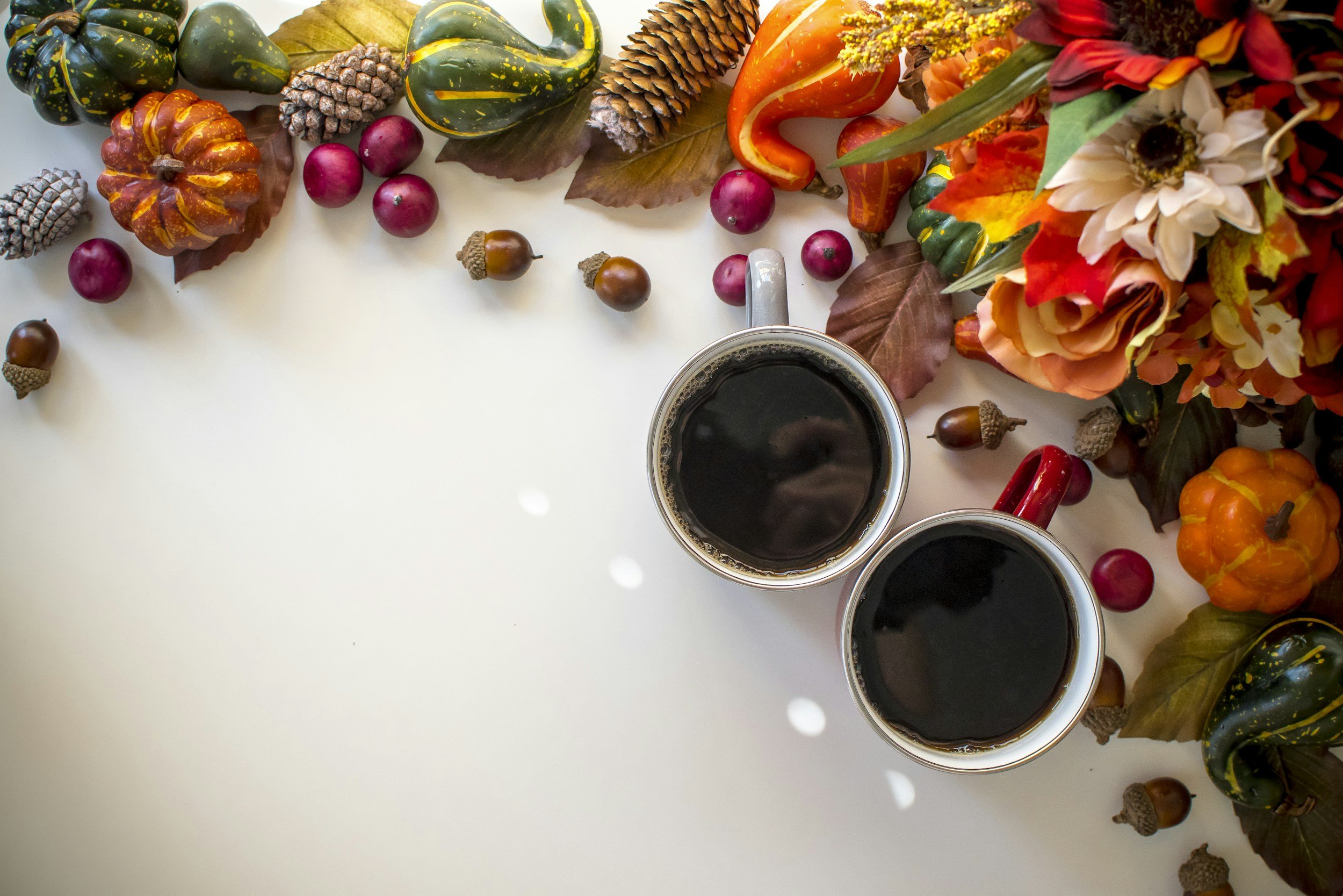 Read to Succeed Celebrity Spelling Bee, The Great Thanksgiving Listen, MTSU Write Fall Conference, and More: November Lit News and Events