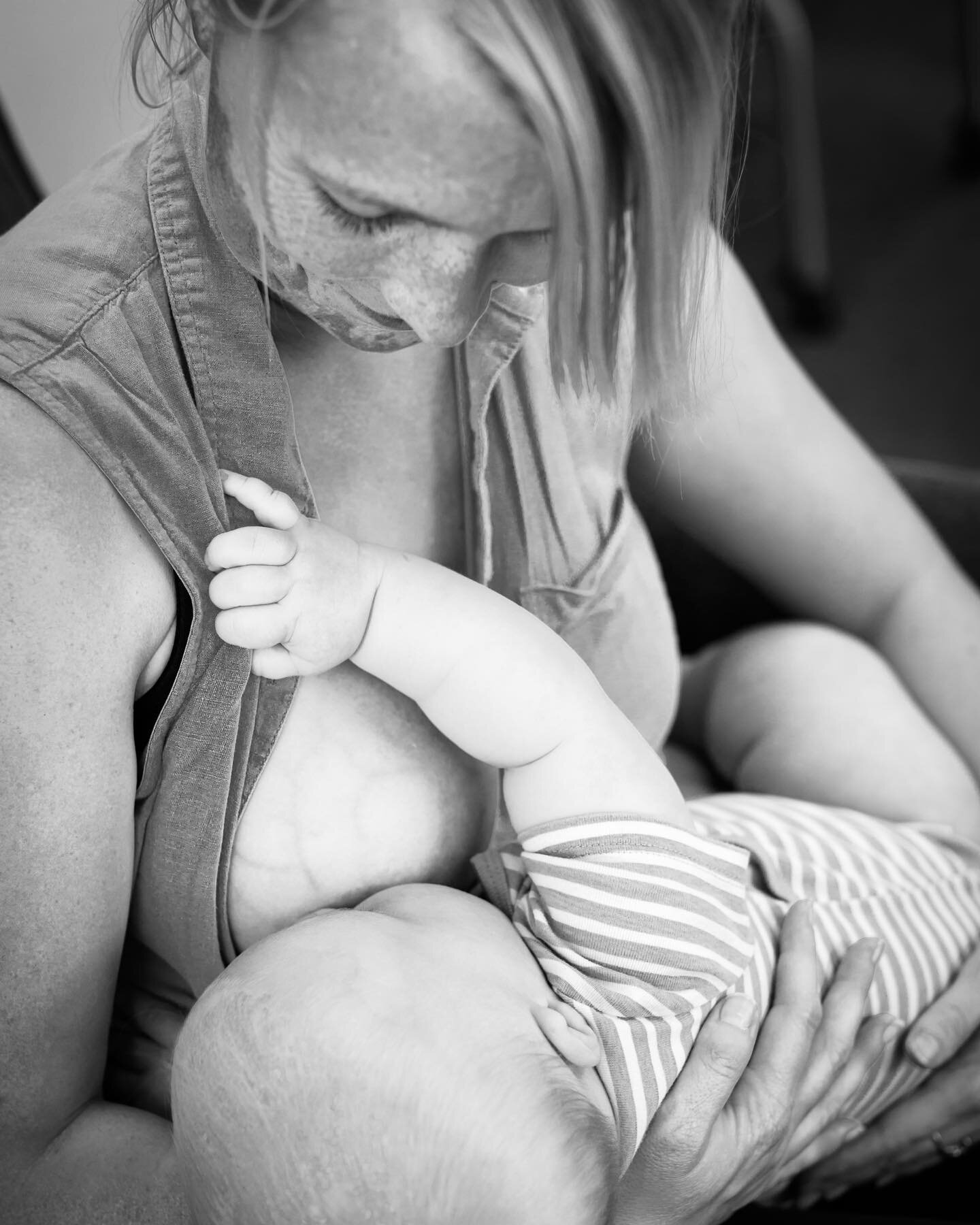 A few weeks back I helped Mono County WIC celebrate #internationalbreastfeedingweek 
It was so great to meet so many great mamas and their littles including several tiny newborns only a few days and weeks old. I love documenting this special time for