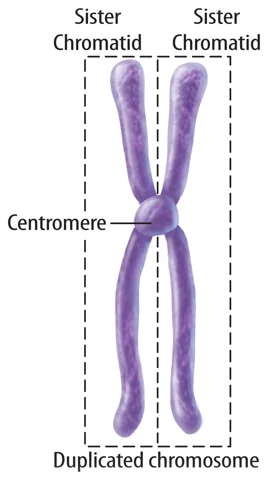 Image via MarshScience7