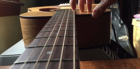 Guitar String Standing Wave