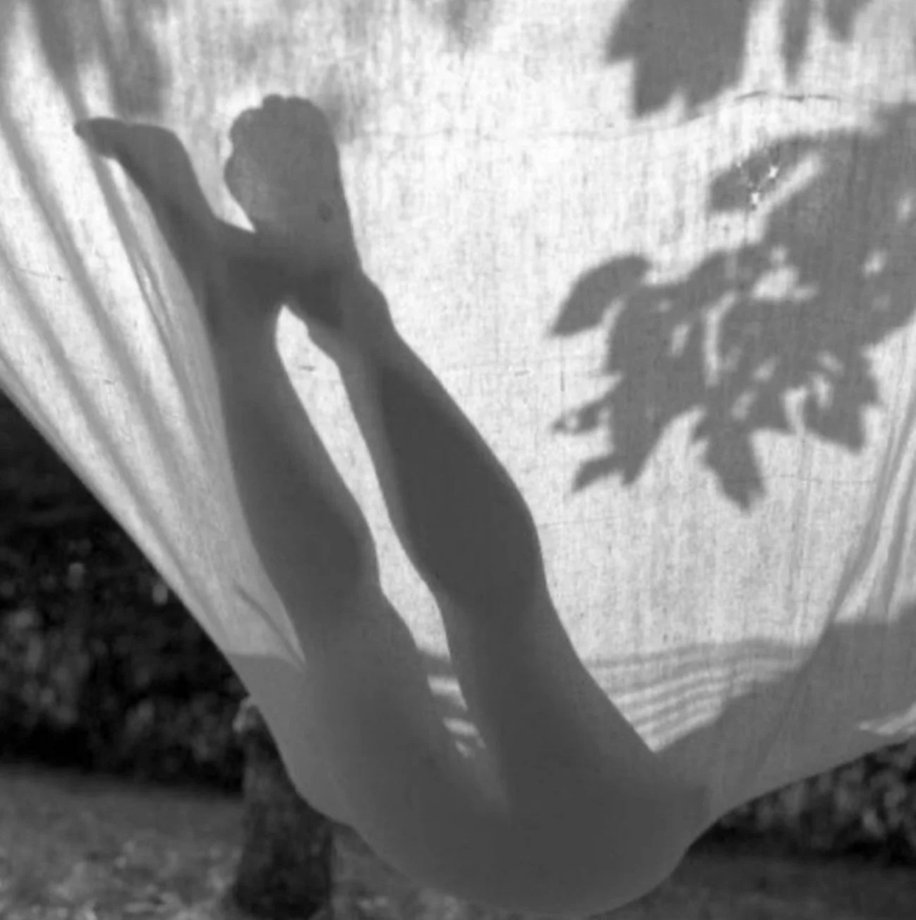 IMG_4139.jpeg