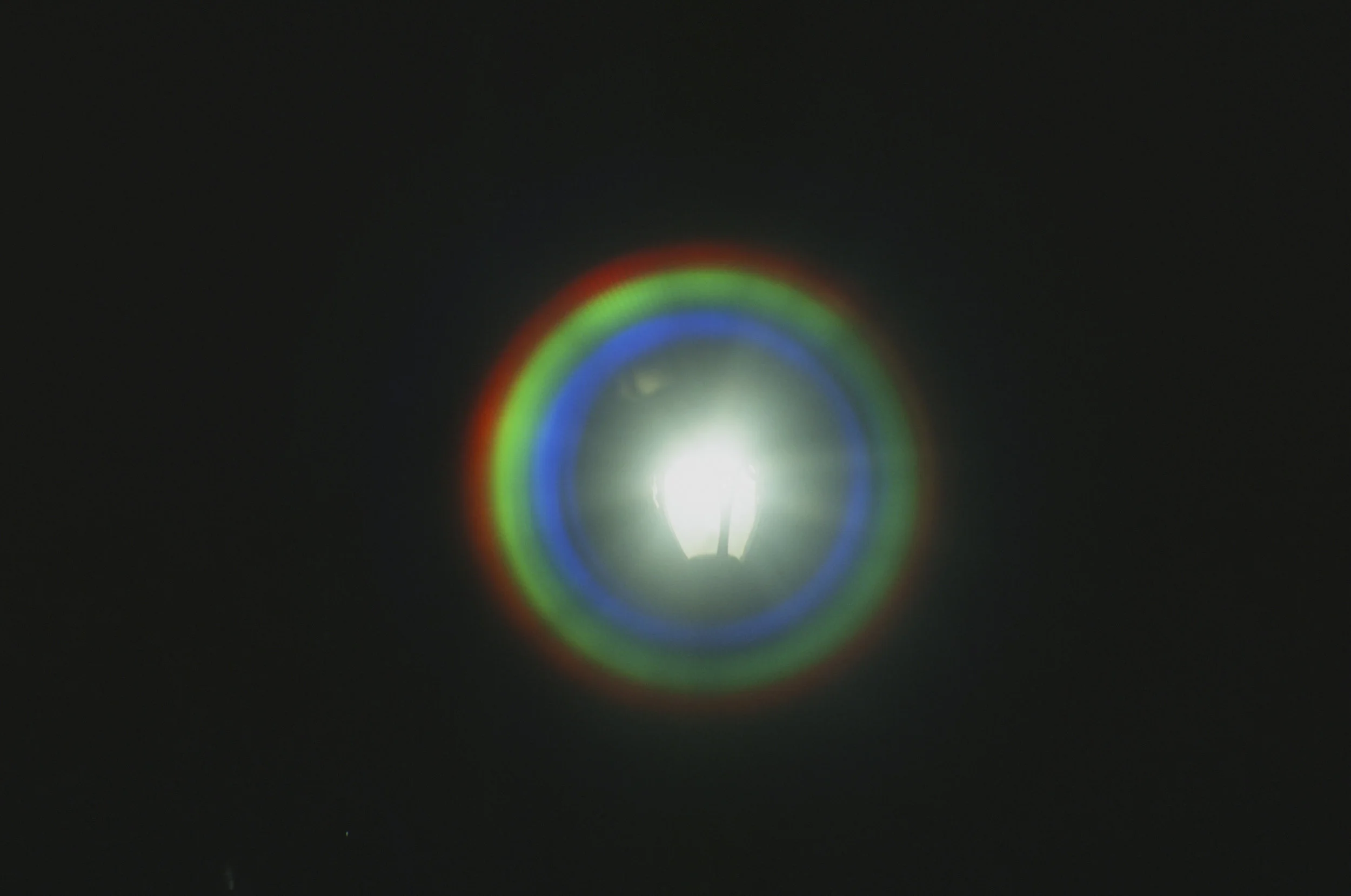 52920026.JPG