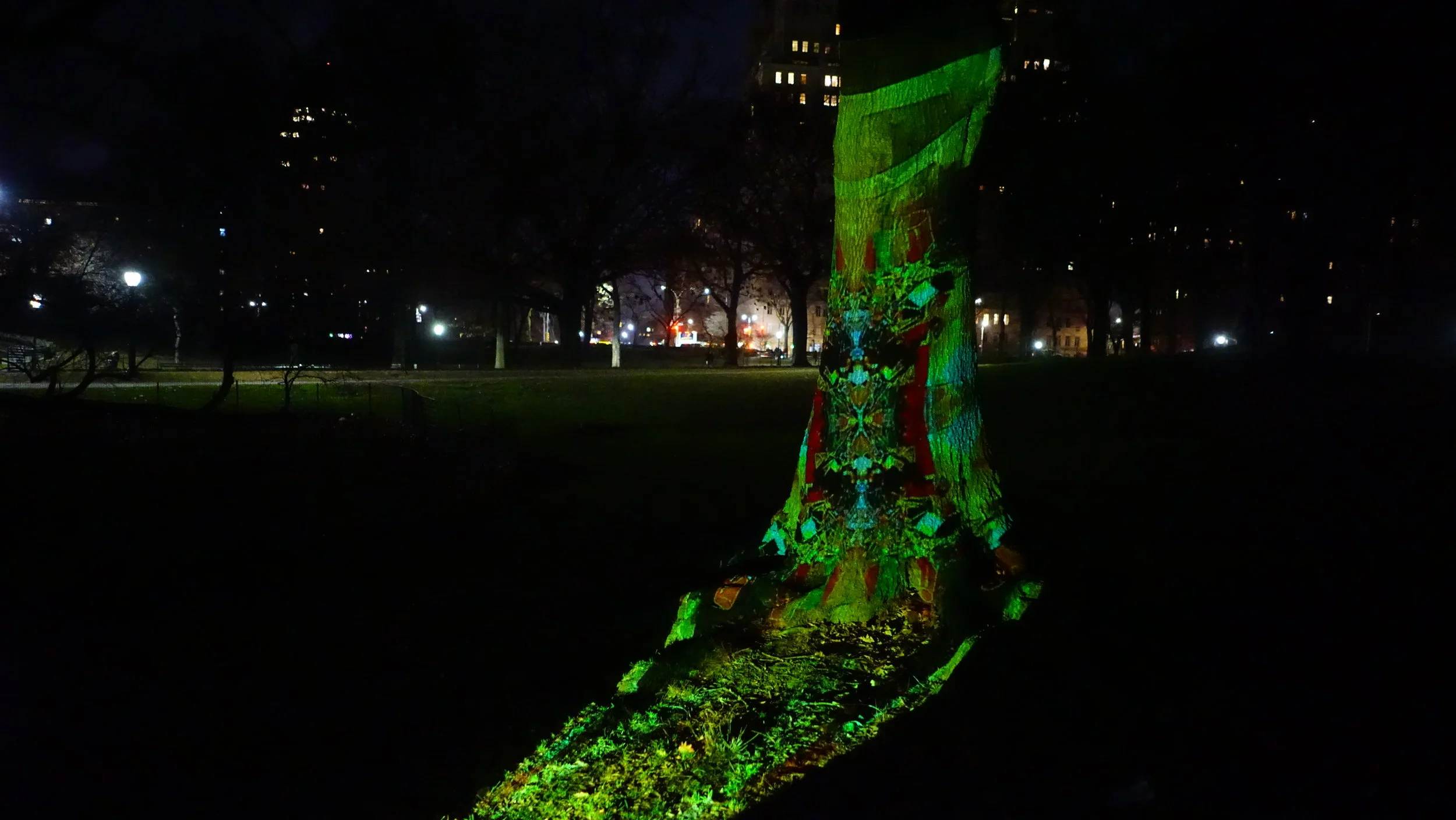  Central Park, NY. 