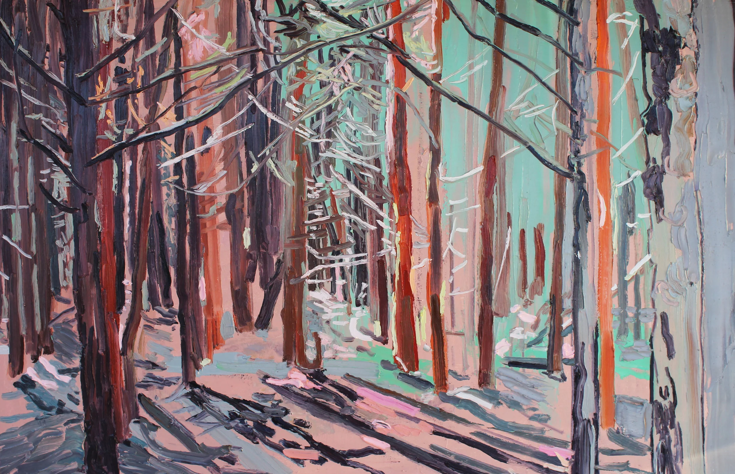 Thetford Forest