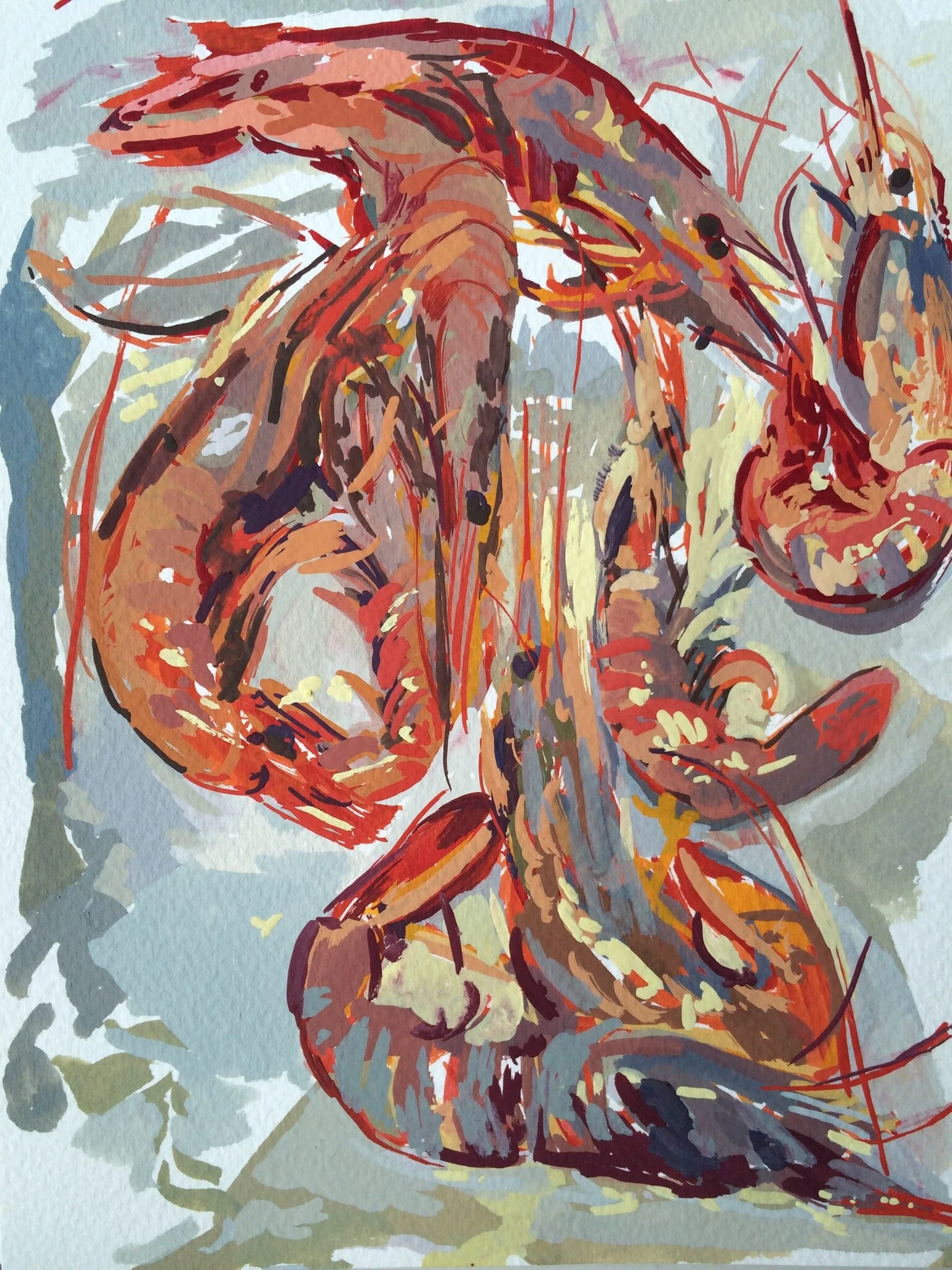 Gouache  Shrimp gouache.JPG