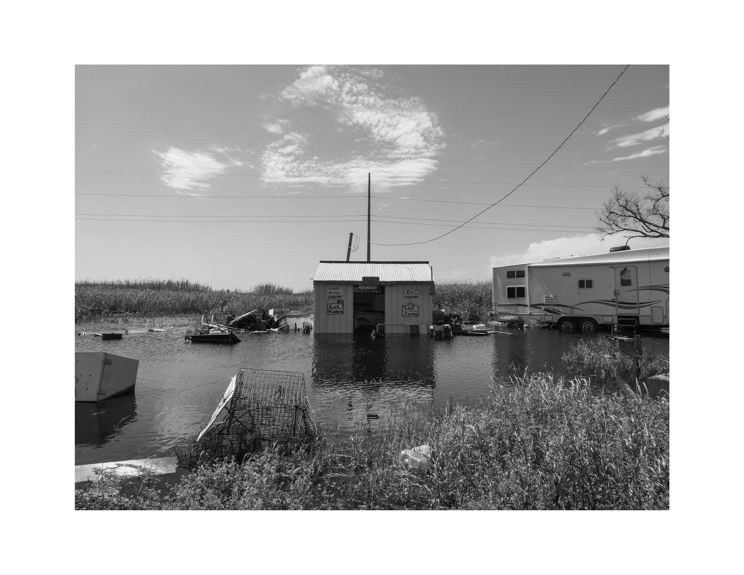 Untitiled - 1 copy.jpg