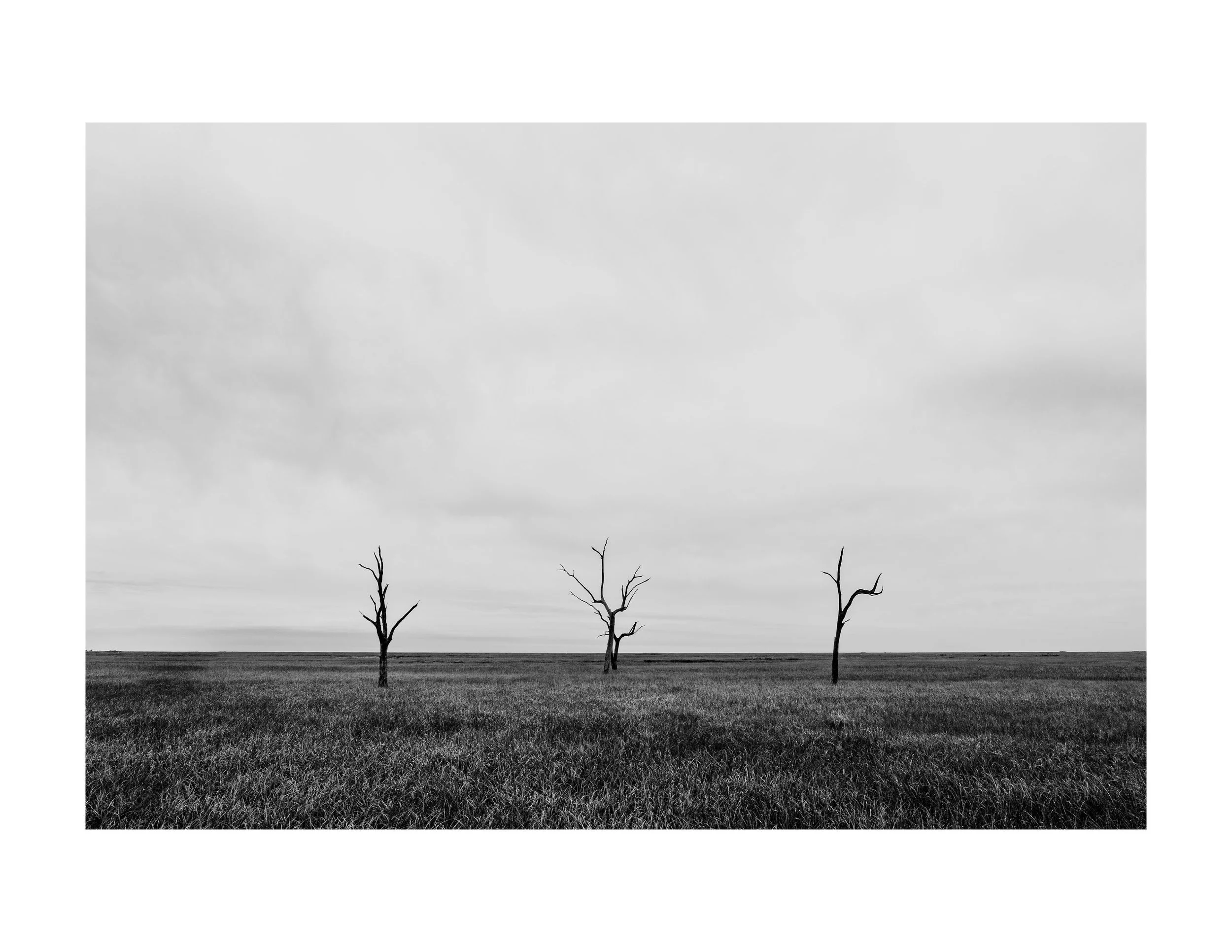 Untitled-4.jpg