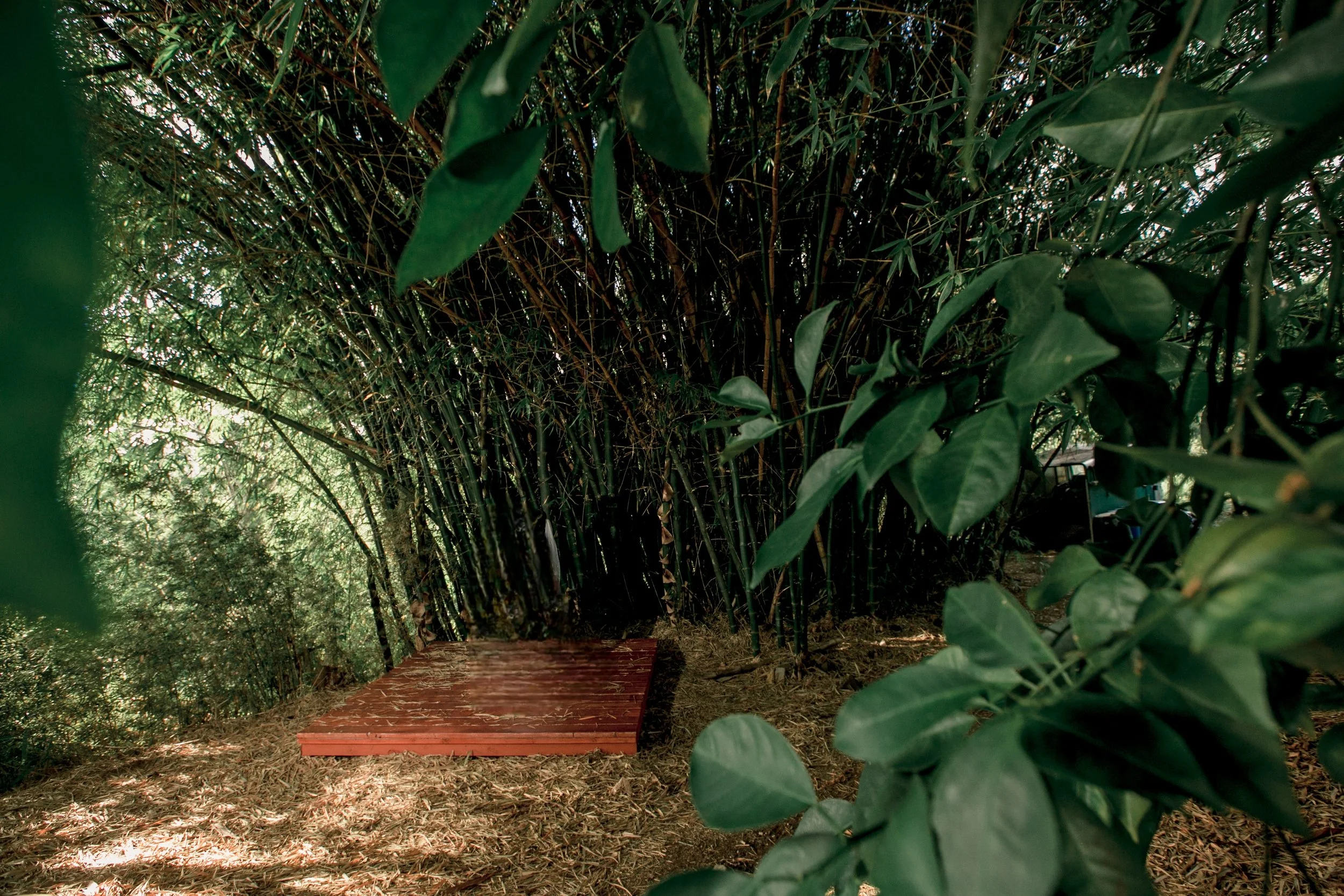 use mike pham_K+A_wedding-1124.jpg