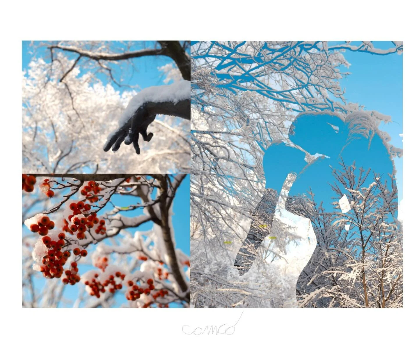 &ldquo;A Snow-globe Sunday #2&rdquo; by me 

#nyc #centralpark #abstractphotography #fineartphotography