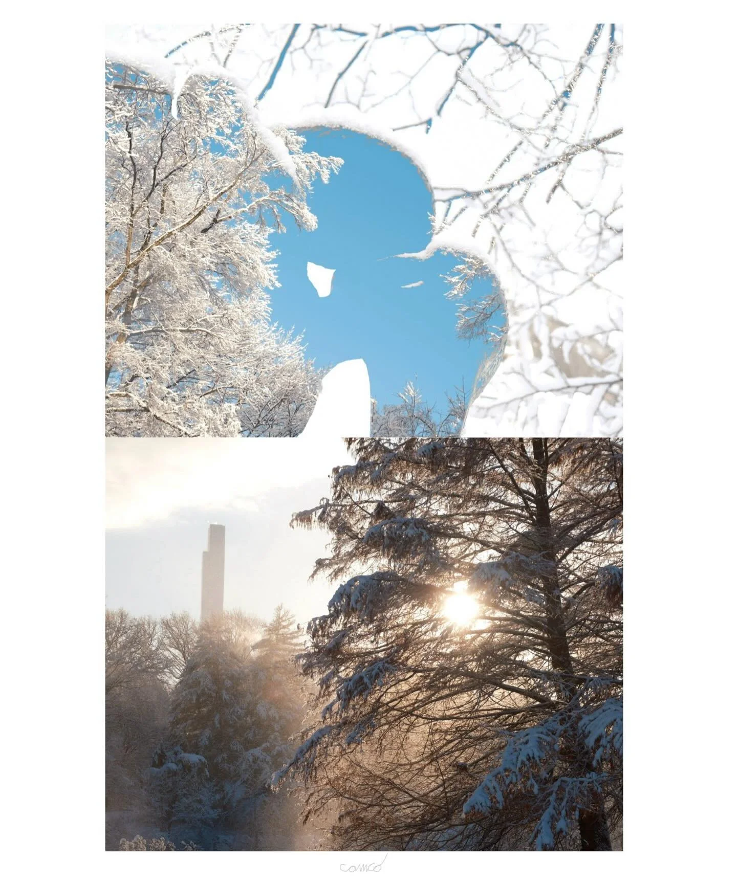 &ldquo;A Snow-globe Sunday #1&rdquo; by me 

#centralpark #abstractphotography #fineartphotography #naturephotography