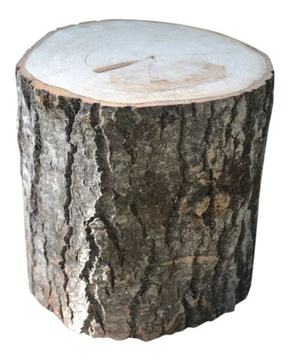 Mini Cherry Wood Stumps