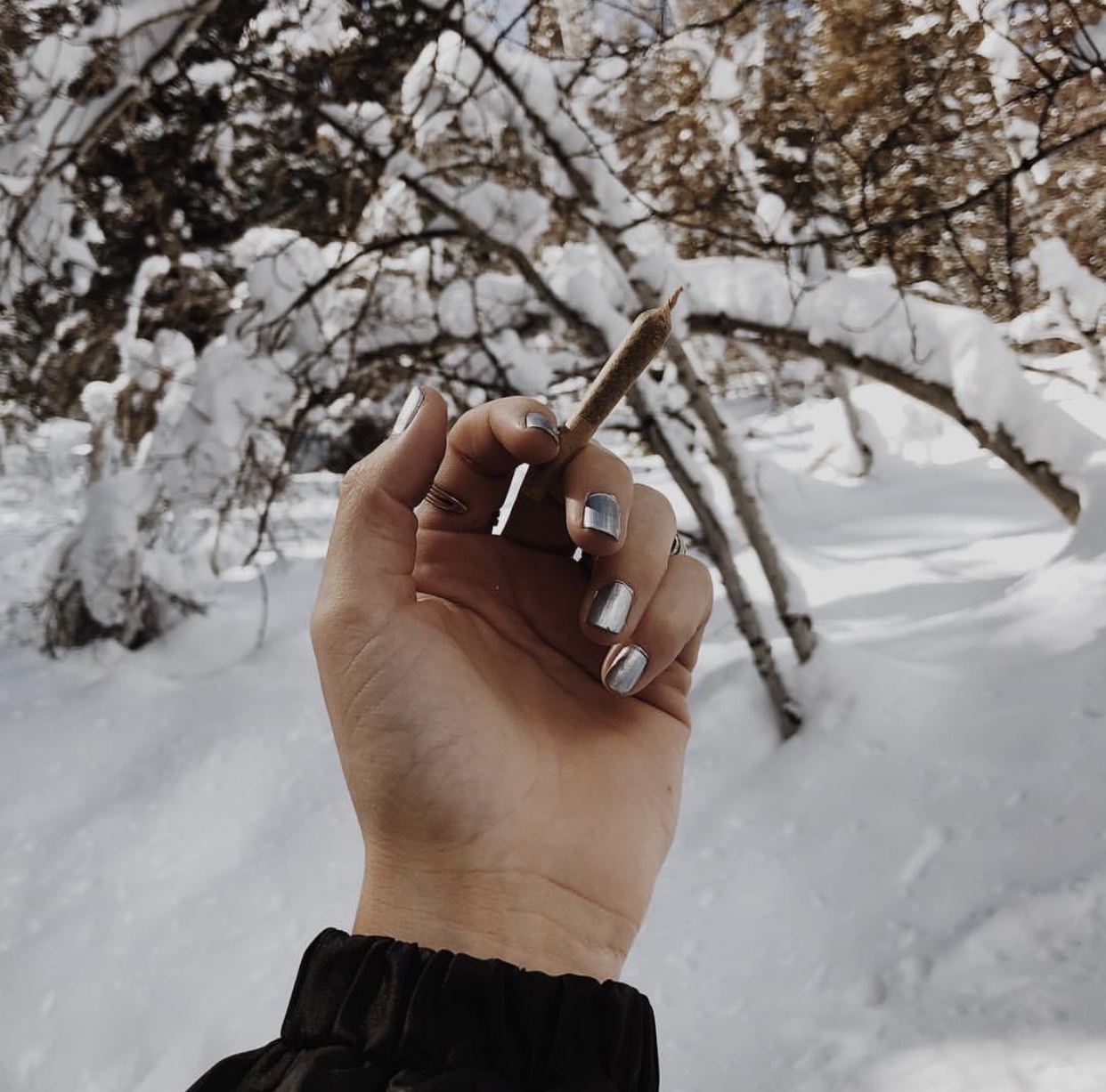 joint-nails-and-snow.jpeg