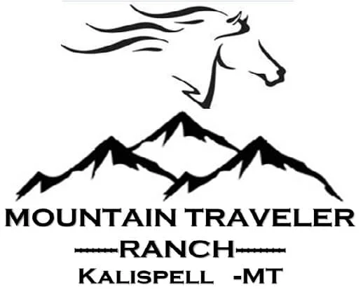 mountain traveler.jpg