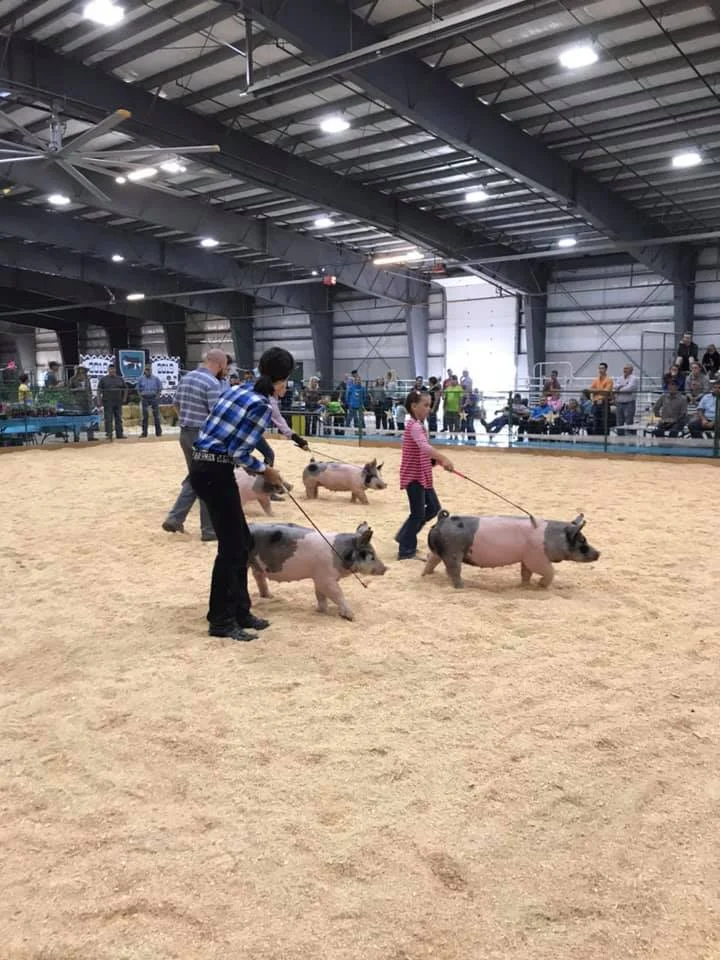50266333_10219333617318275_6724390760726134784_n.jpg