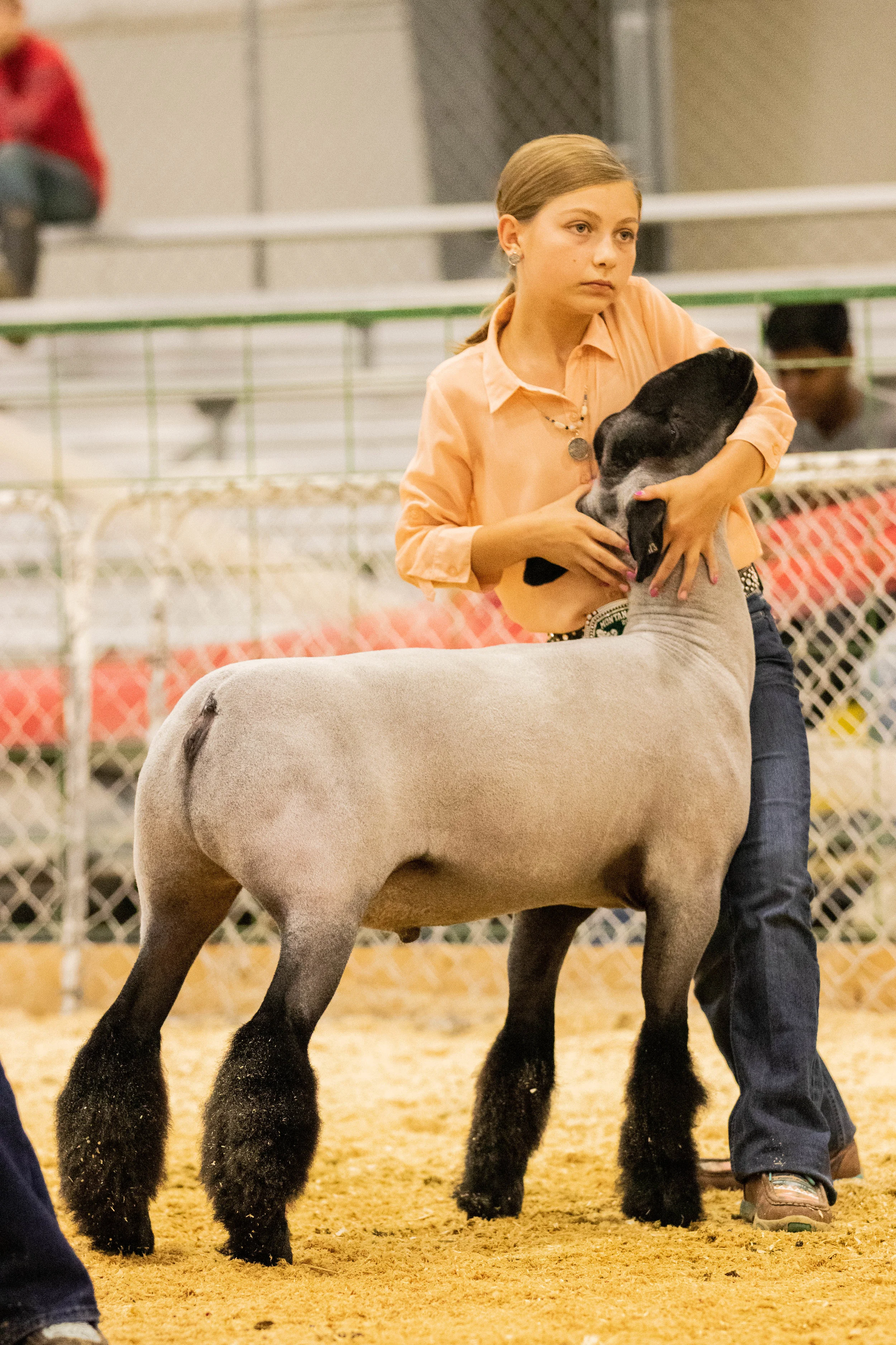 Market Wether Lamb.jpg