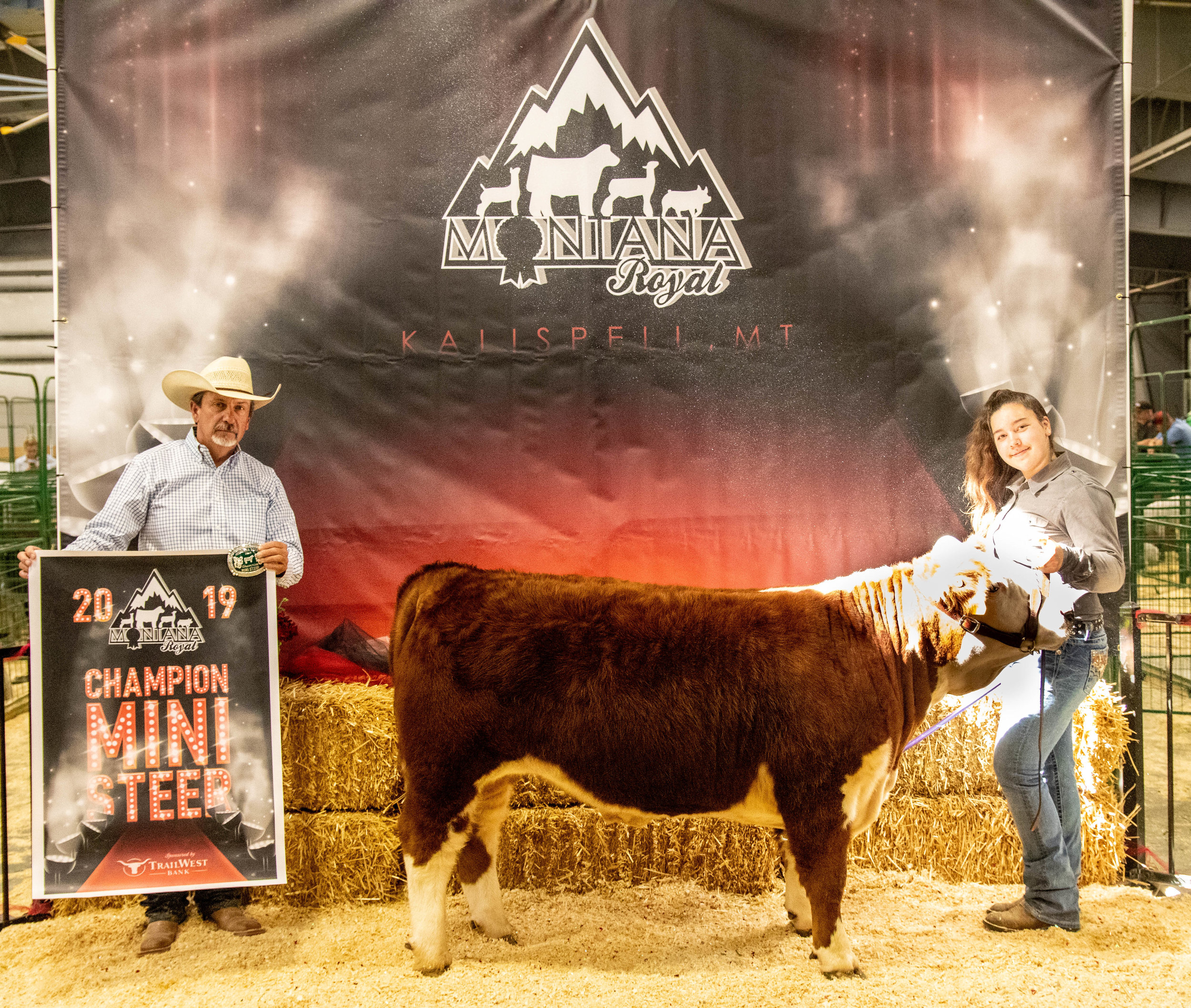 Champion Mini Steer.jpg