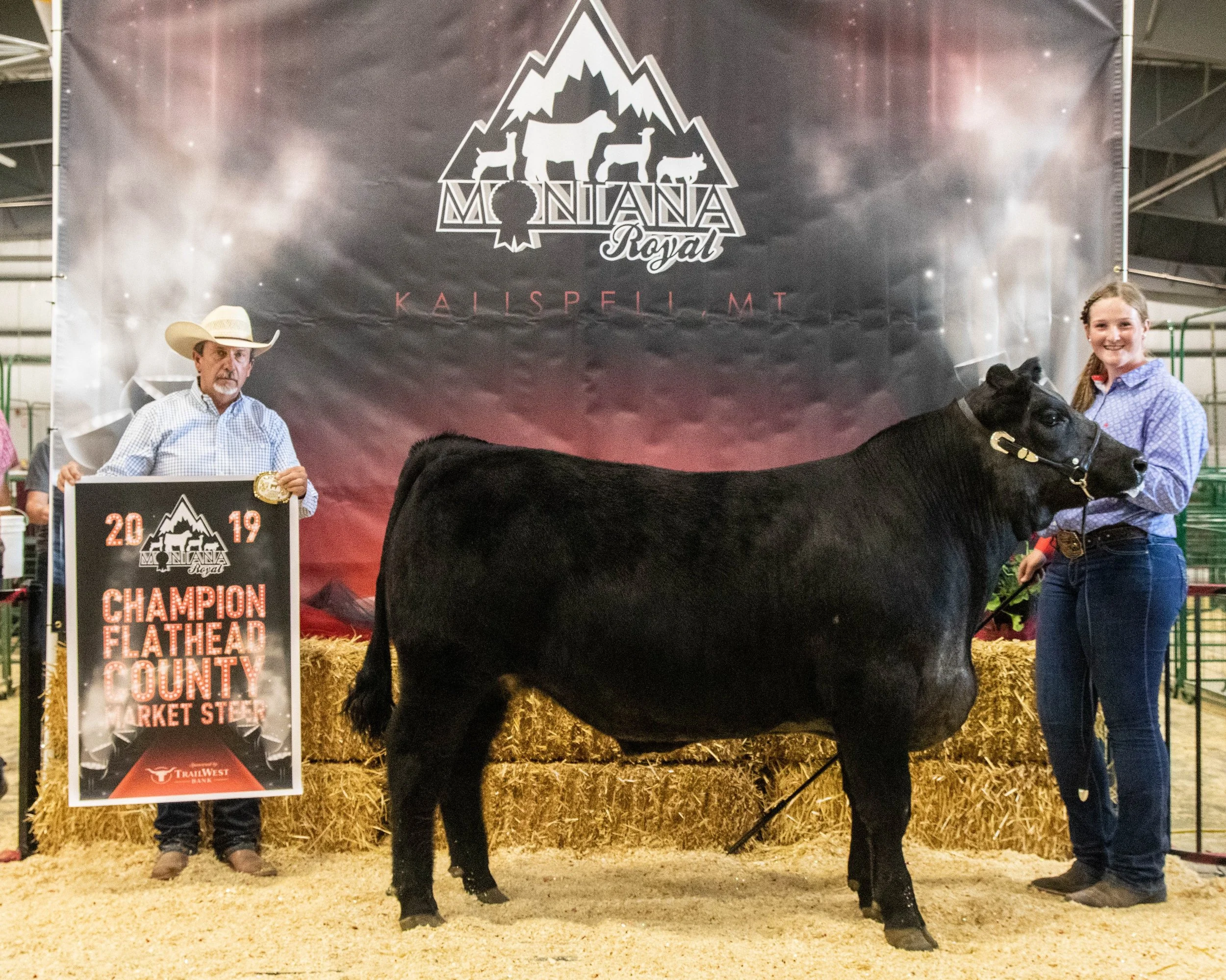 Champion Flathead Steer.jpg