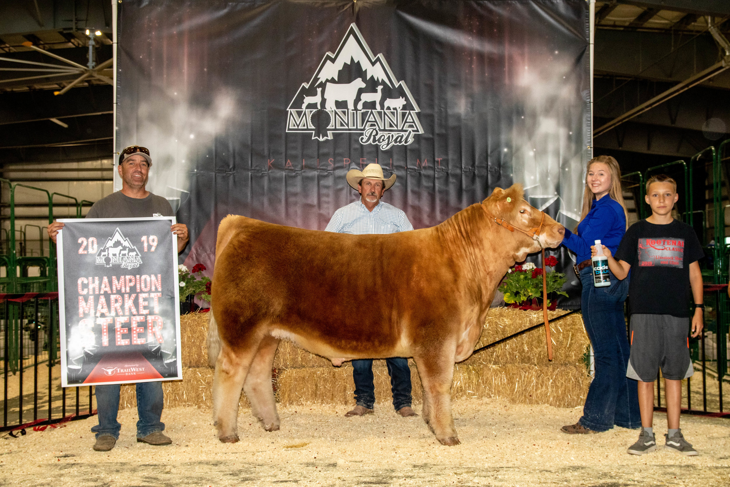 Champion Market Steer.jpg