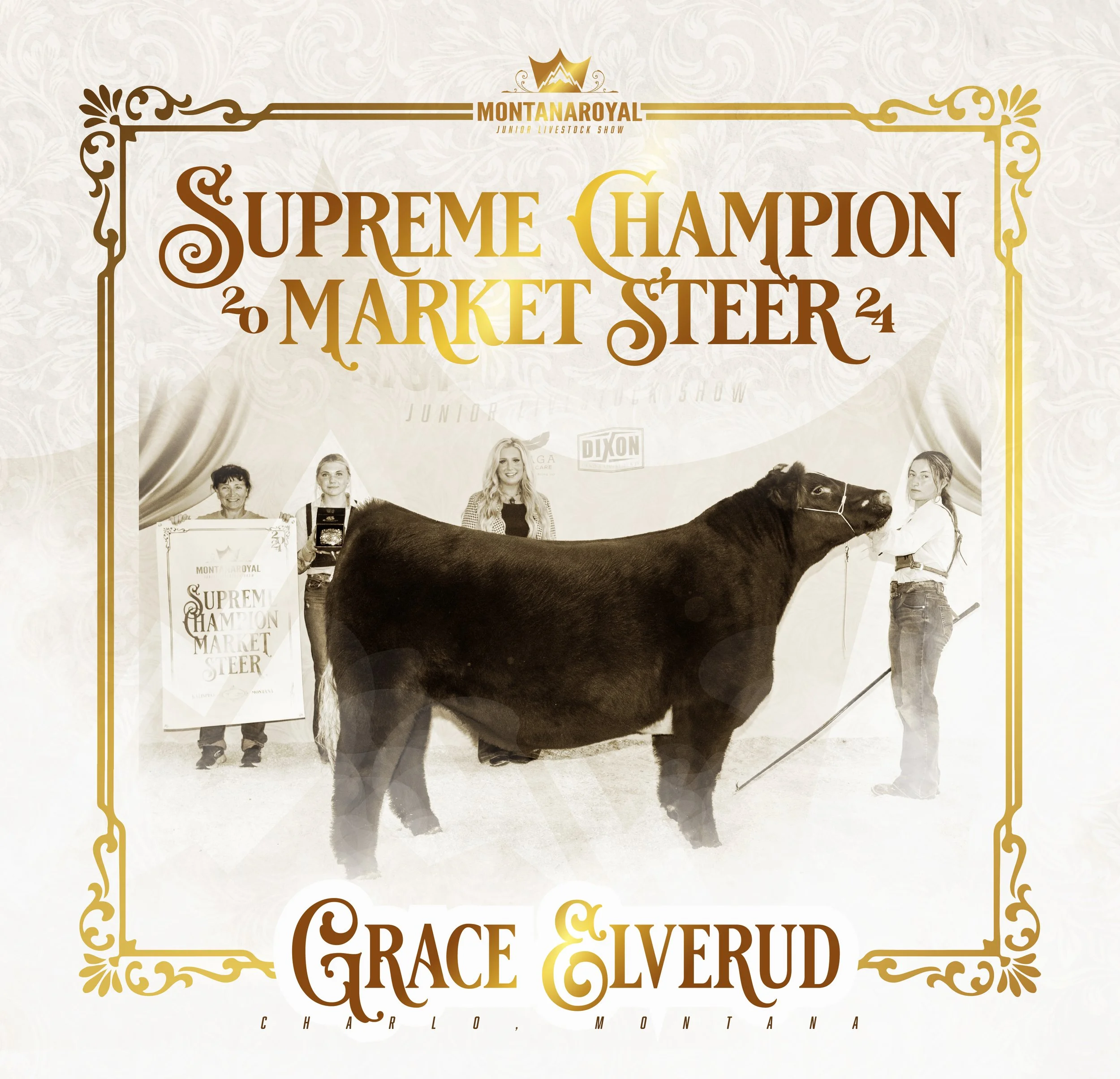 Beef-Steer.jpg