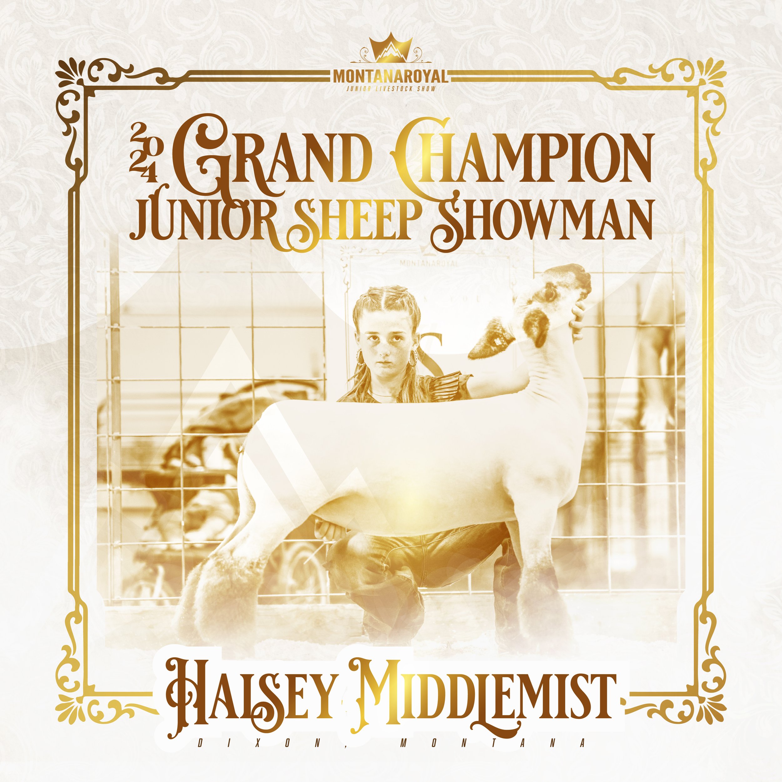 Sheep Showmanship - Jr.jpg