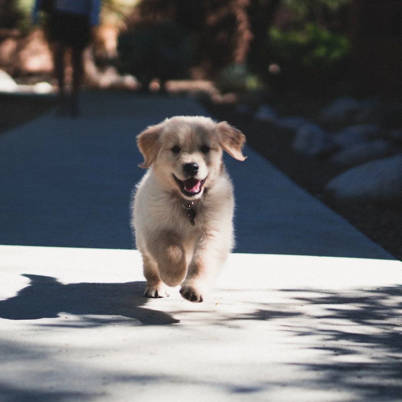 andrew-schultz-443073-unsplash.jpg