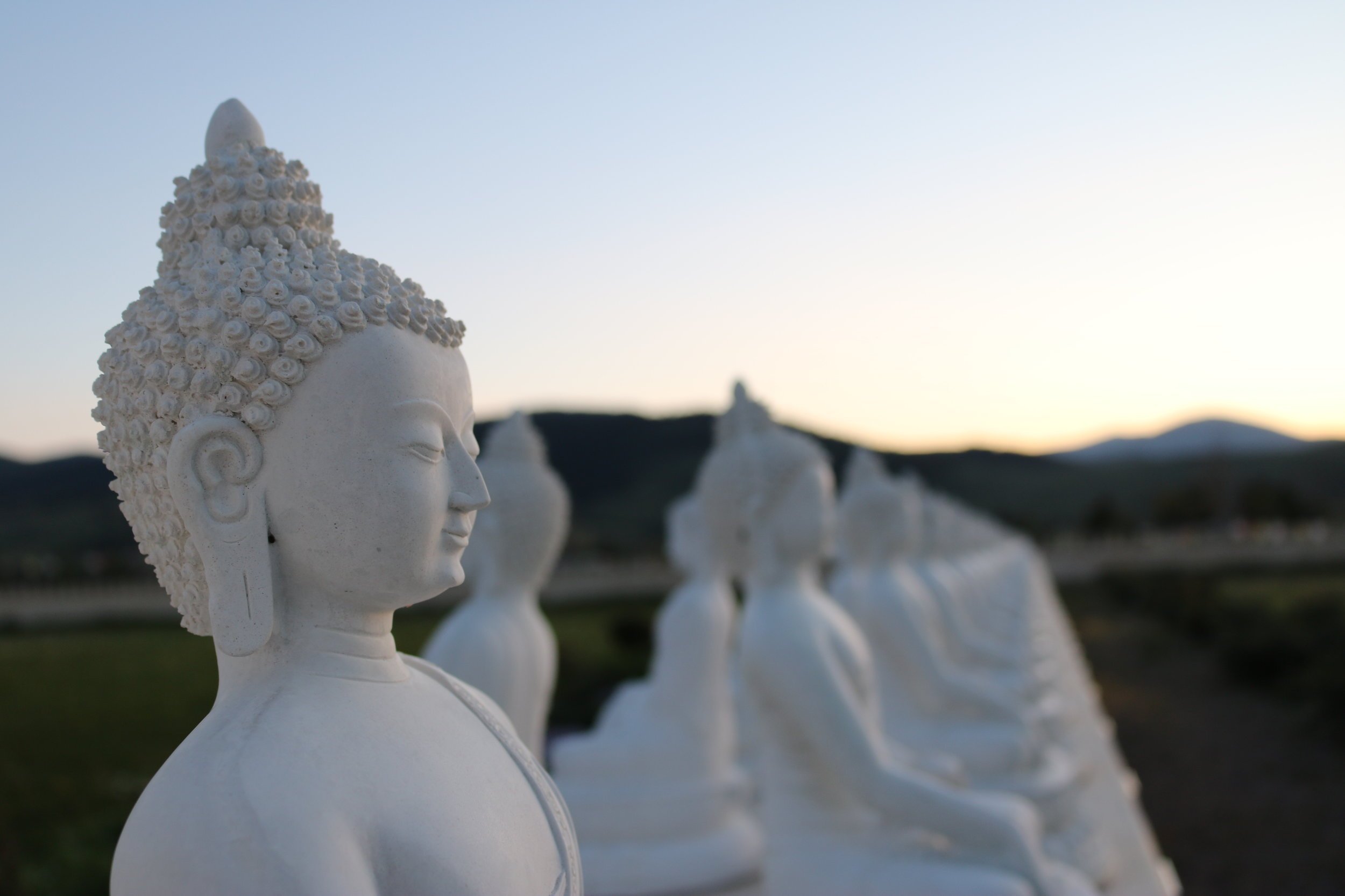 Buddha Statues