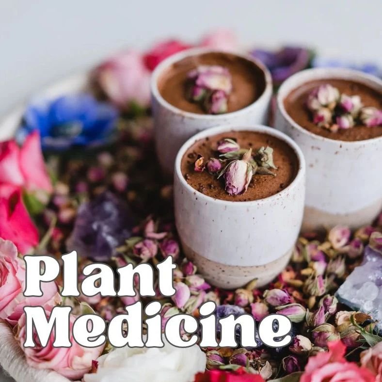 I'm happy to share that my Montana Spiritual Retreats now offer a Plant Medicine Ceremony.

Her MedicineTime in Montana day retreats are a sacred, and powerful opportunity devoted solely to your continued journey of self-discovery, healing, expansion