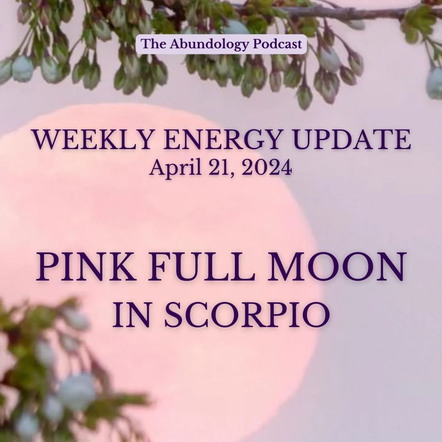 The Weekly Energy Update Podcast is Up!&nbsp;💘

This week we experience the most intense full moon of the year. The Pink Moon is on Tuesday, April 23rd.

The pink moon is a symbol of rebirth, growth, and renewal. It represents the return of color to