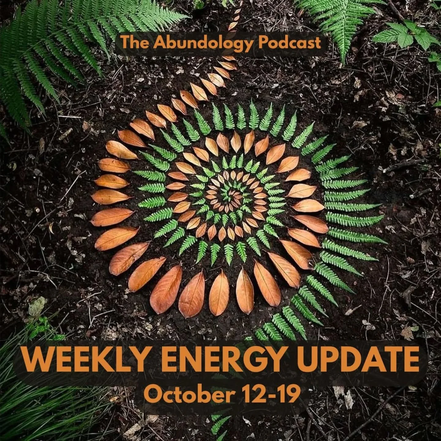 The Weekly Energy Update Podcast is up!
A Powerful Turning Point and A Week of Big Shifts! 
We’re stepping into a major turning point! On Monday the 13th, Venus moves into Libra, Pluto stations direct in Aquarius, and it’s the Last Quart