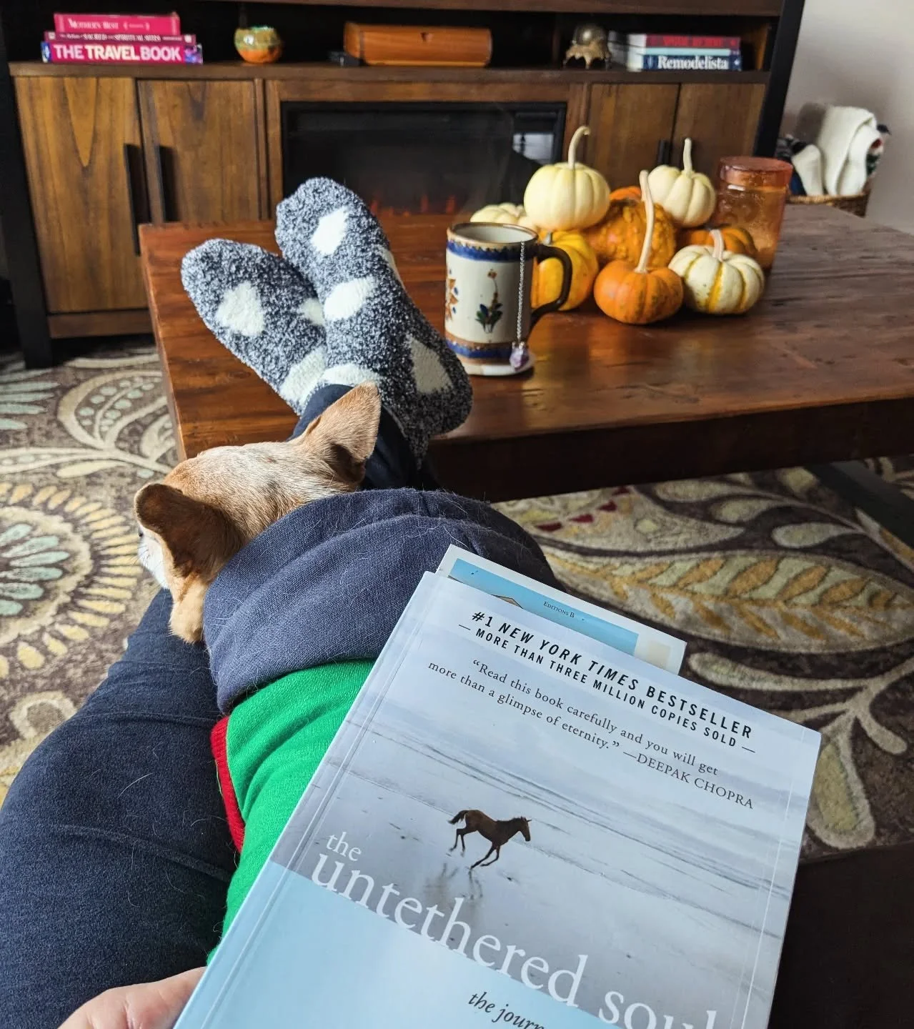 With a Chihuahua, and a cup of @steepmtntea.bzn I'm preparing for tomorrow's final Wisdom Circle of the year, and this 9-year cycle. And the circle just 'happens' to fall on the last Full Super Moon of 2025. 

If you've joined me for a Wisdom Circle 