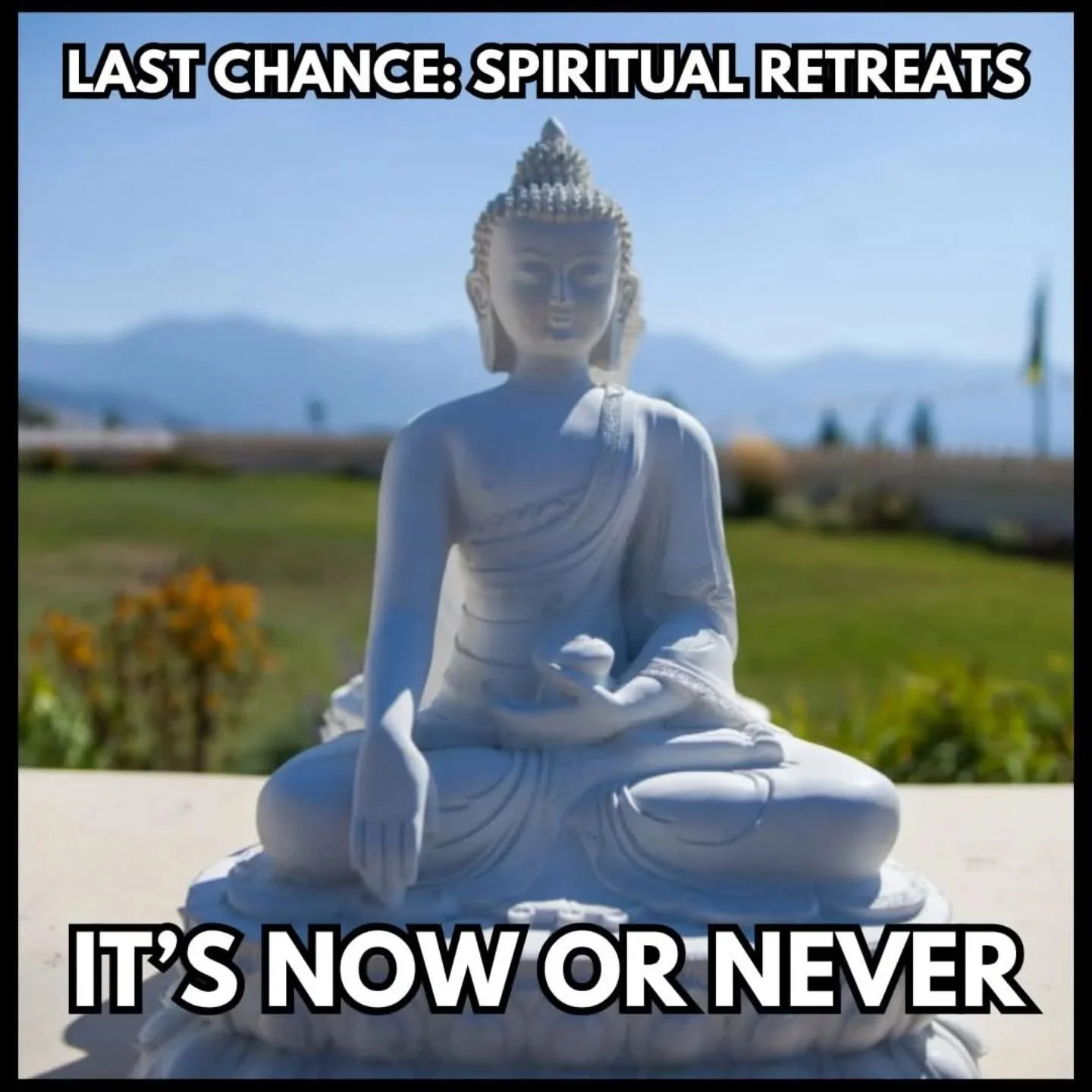 I&rsquo;m just going to say it plainly&hellip;. It&rsquo;s time to do the thing. (Or&hellip; you know&hellip; 💩 or get off the pot.)

The energy right now, both astrologically and numerologically, is pushing us to finally move forward on the things 