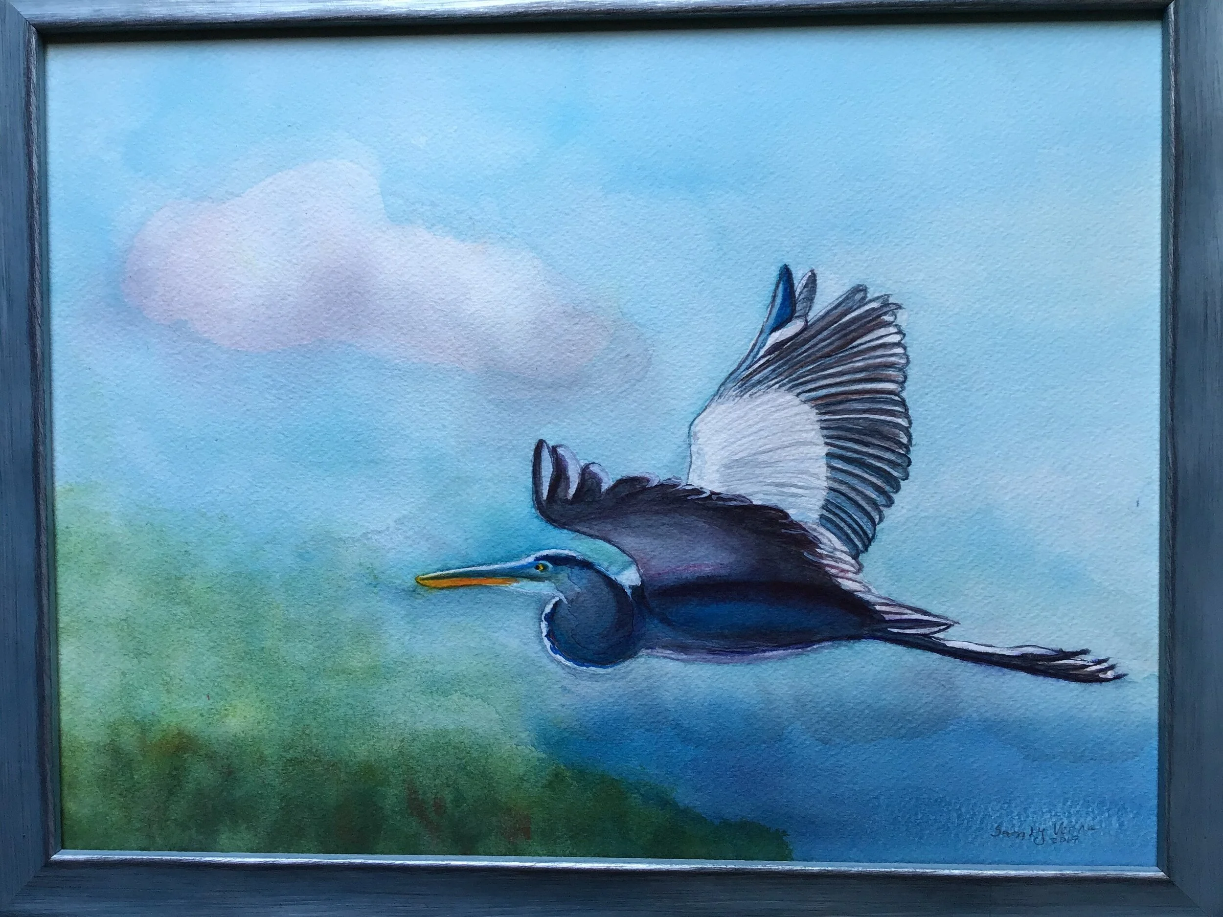 Sandy - Bird in Flight.jpg
