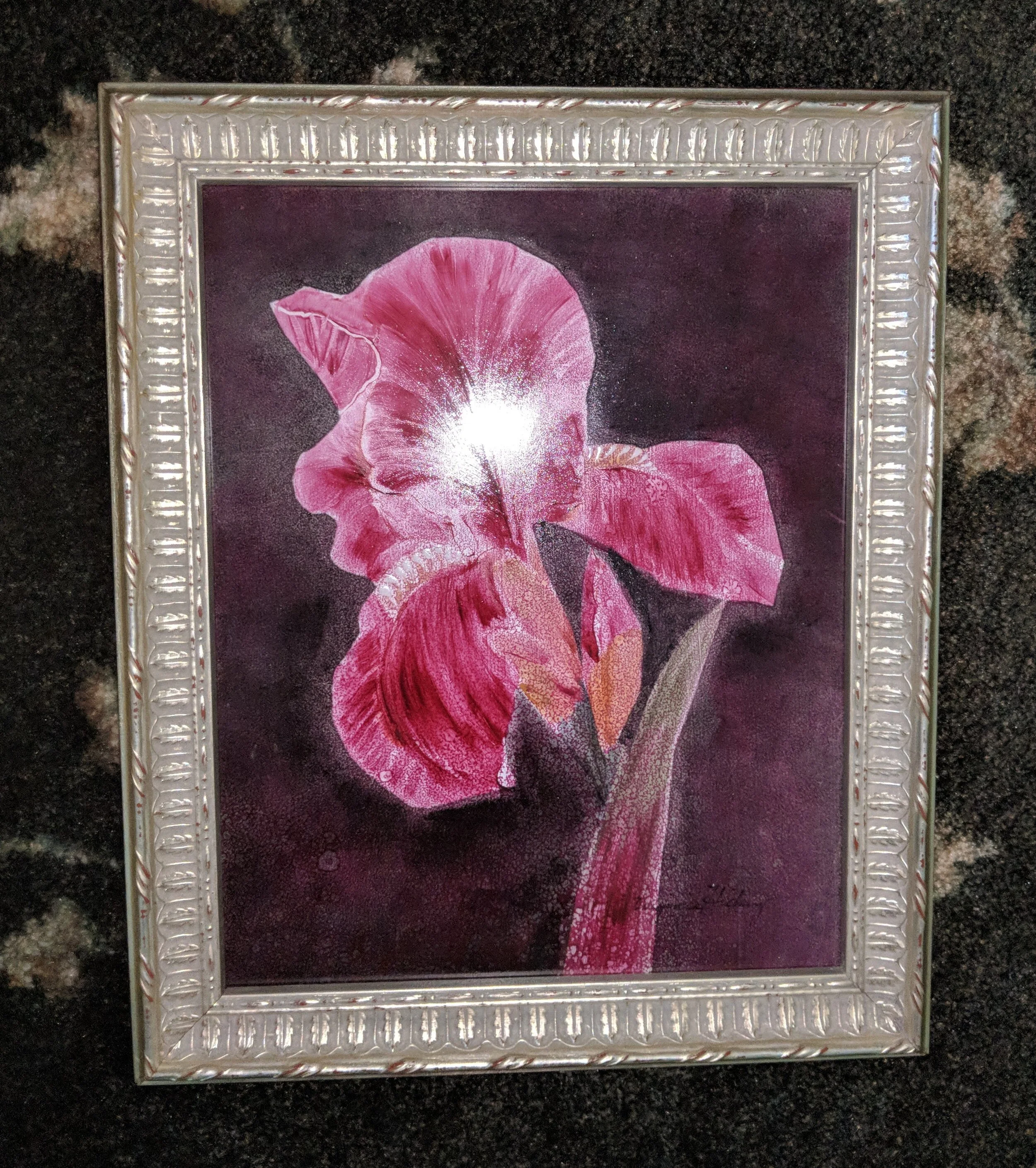 Virginia - Pink Iris.jpg