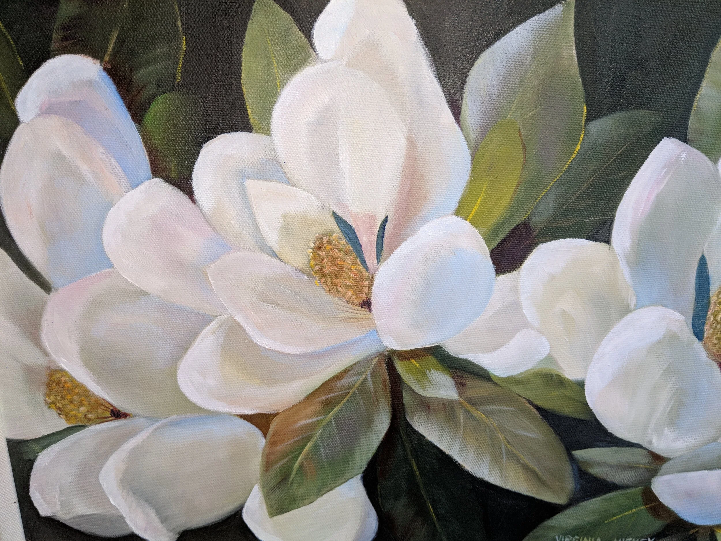 Virginia - Magnolia.jpg