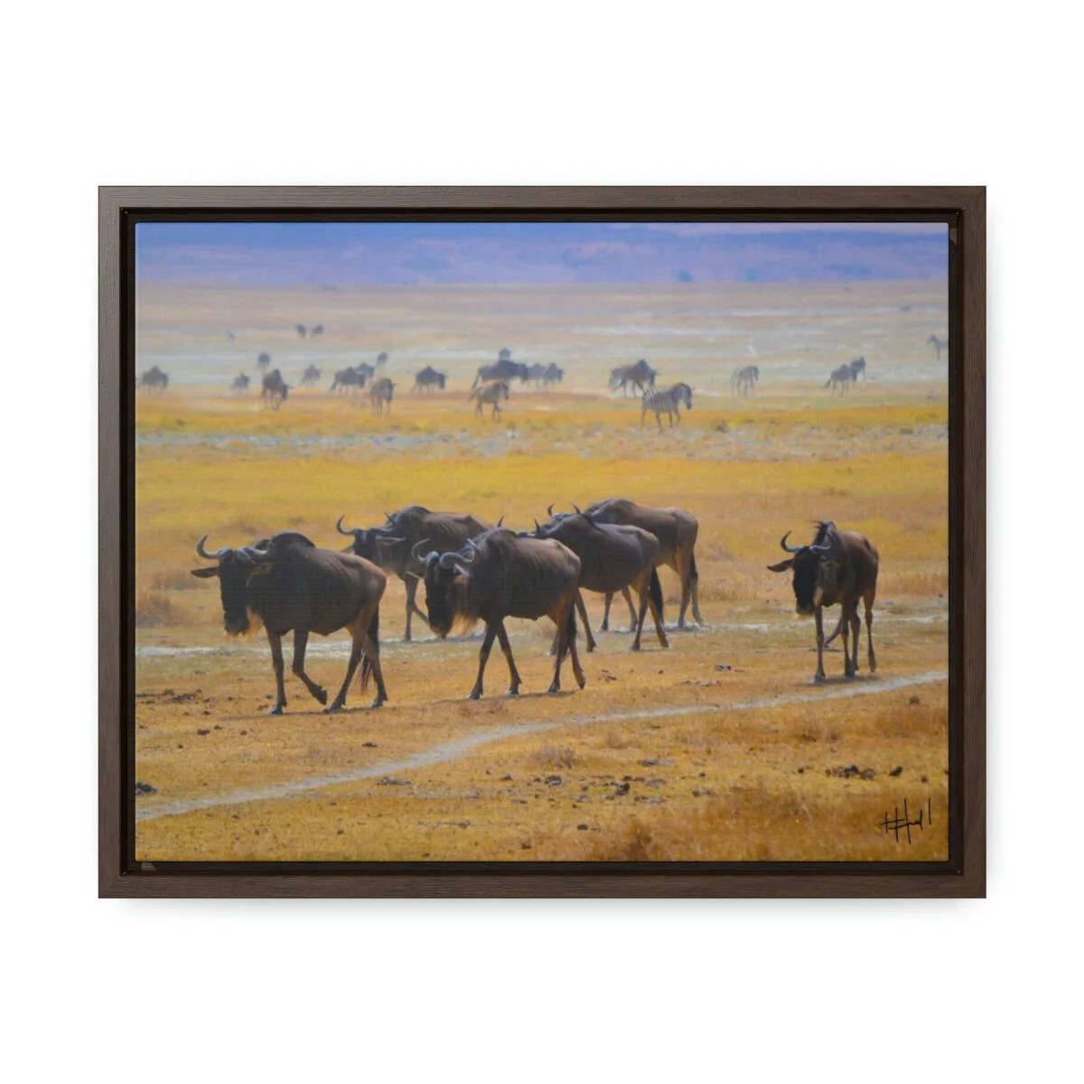 ba35bad609163b8c11ef67154fc45c08